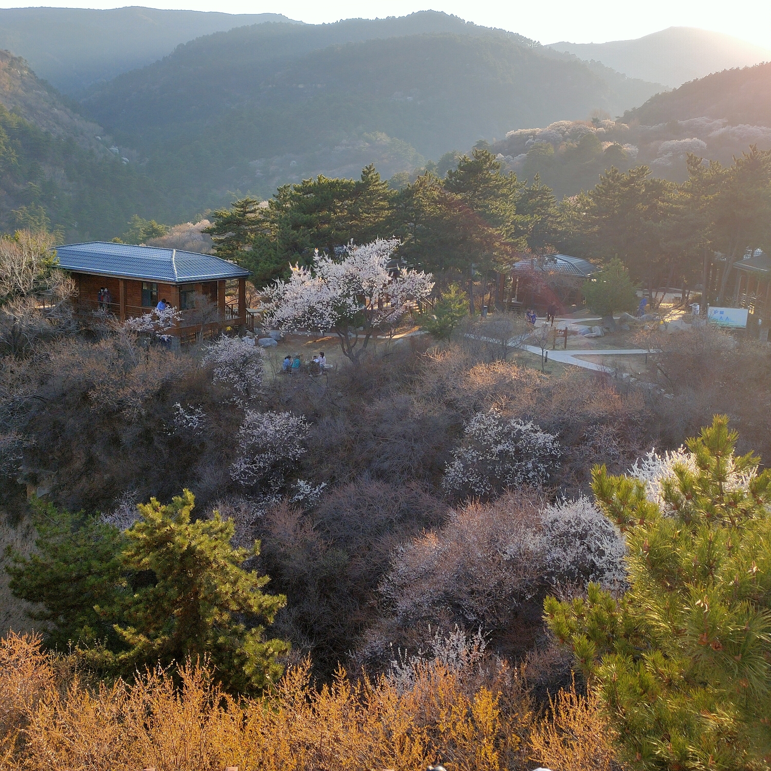 北京桃花沟风景区图片