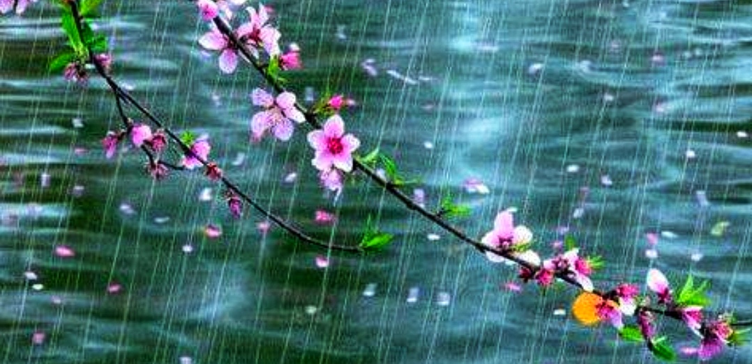 春夜雨景图片图片