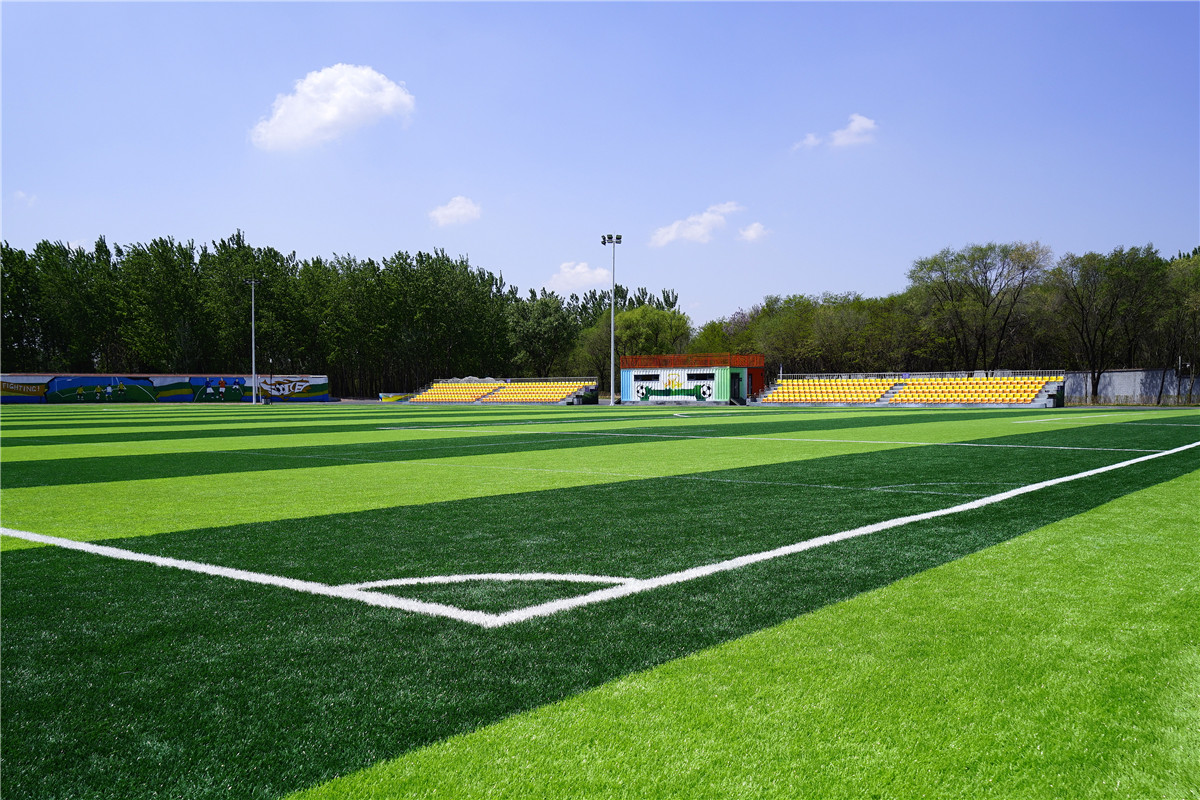 主题娱乐点燃人们的好奇心