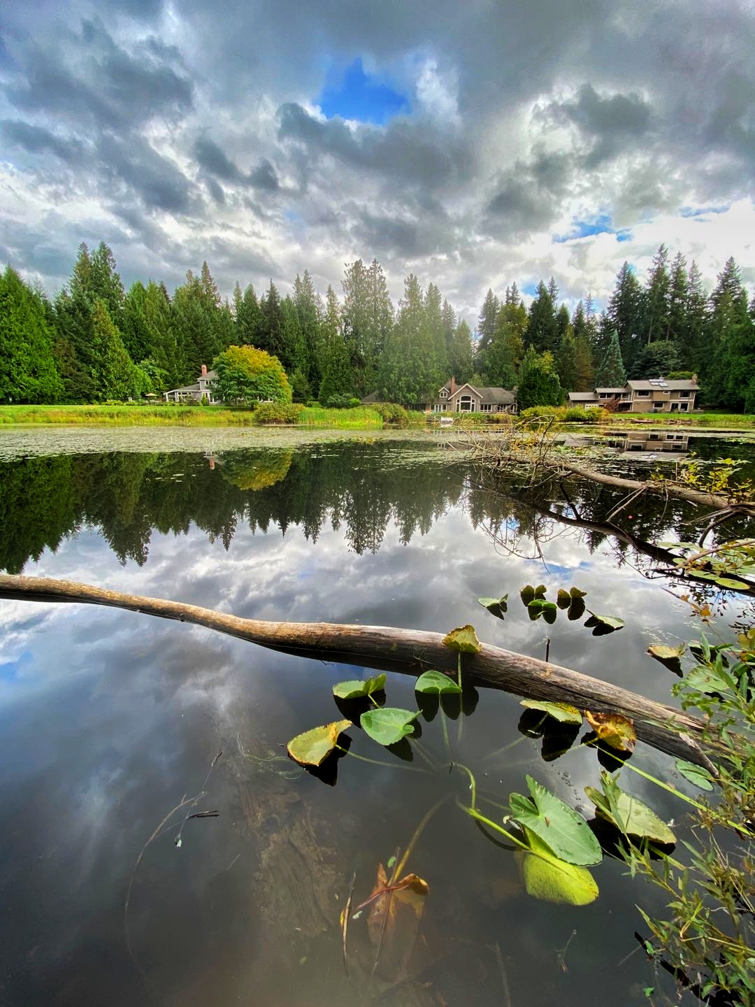 海狸湖beaverlake的美78