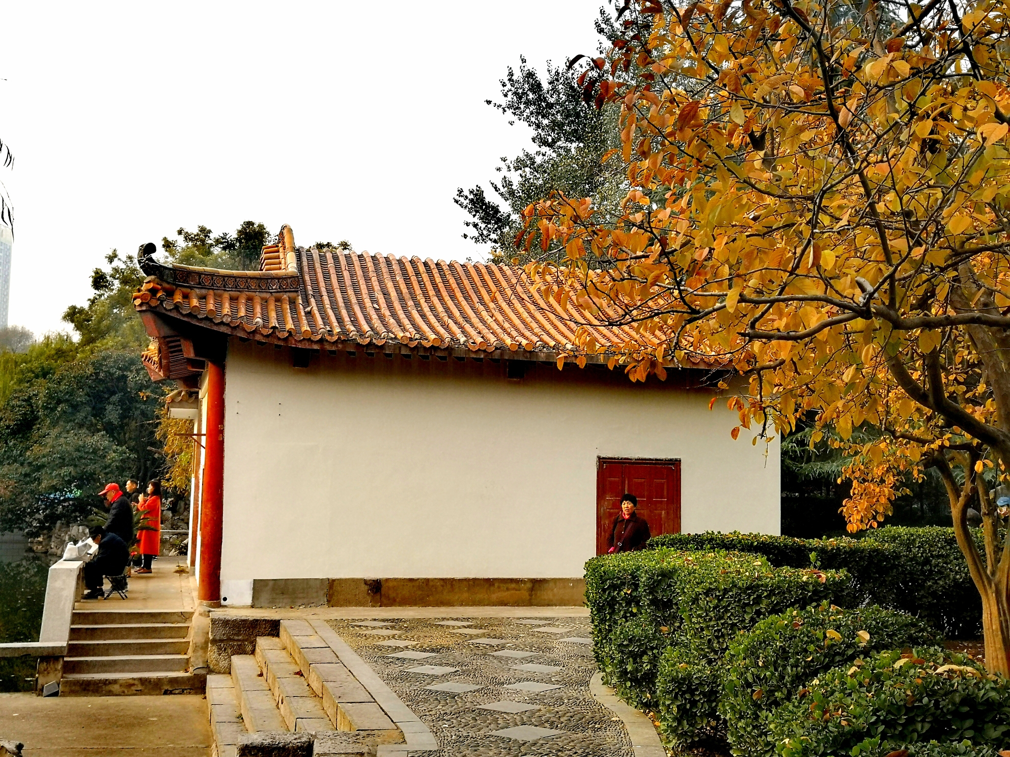 西苑公园深秋色彩斑斓