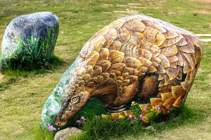 块块石头大变身 可爱动物多趣味