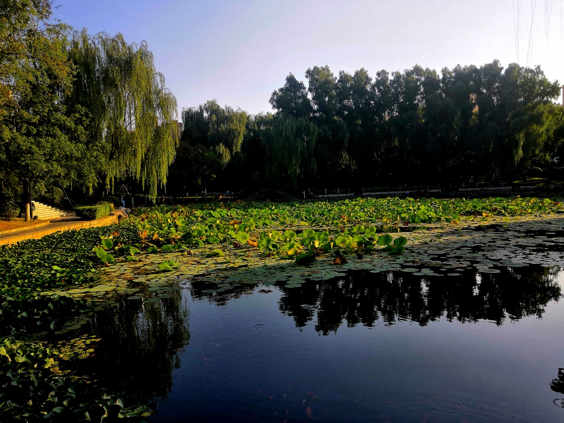 《玉门河公园》