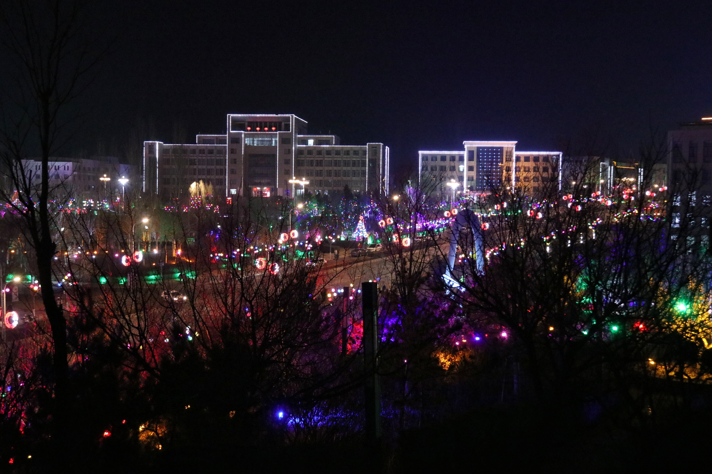 花园夜景