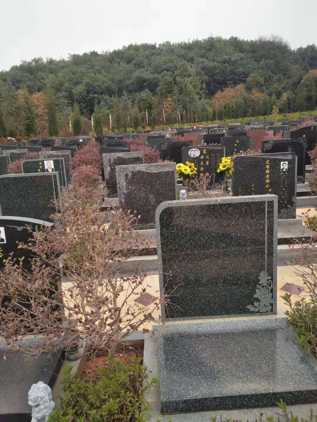 祥安永久墓园图片