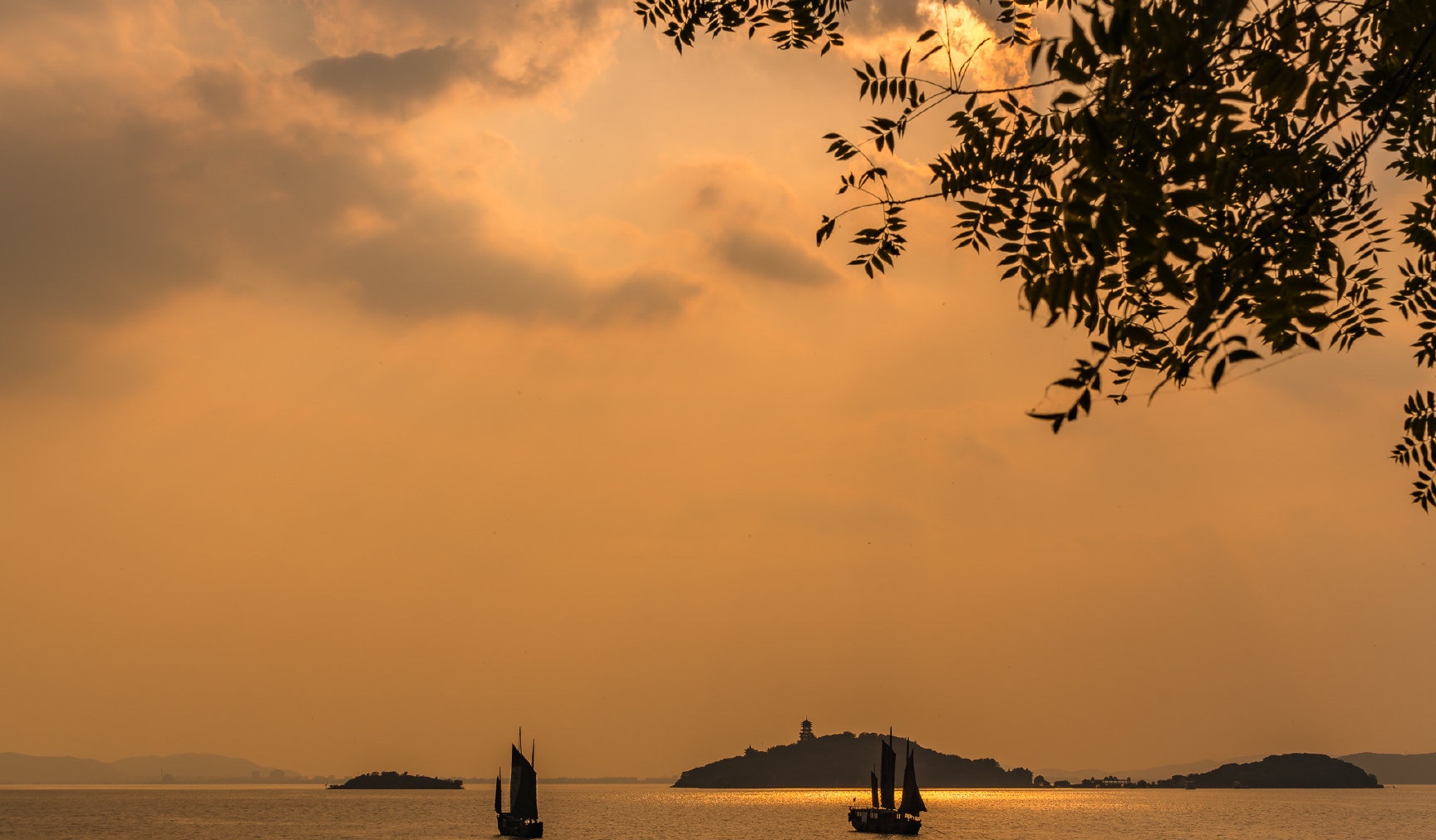 散文诗61暮色恋鼋头首发