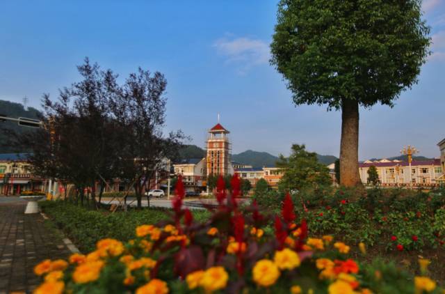 霍山单龙寺鲜花小镇图片