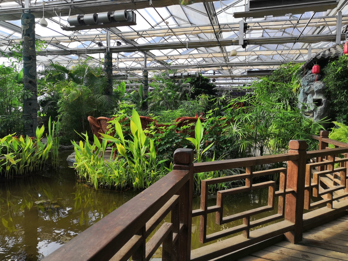 美丽绥滨植物园