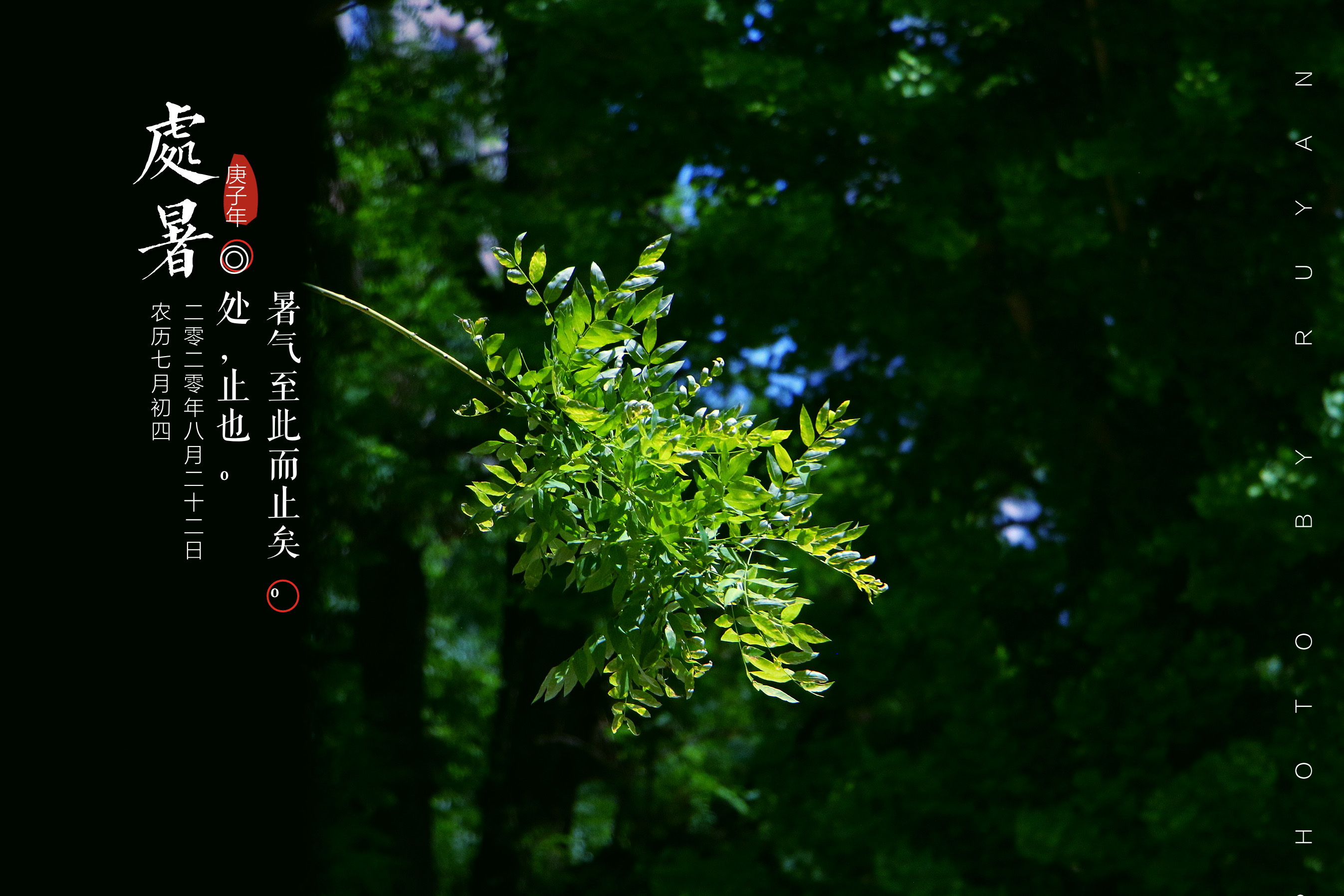 二十四节气处暑首发