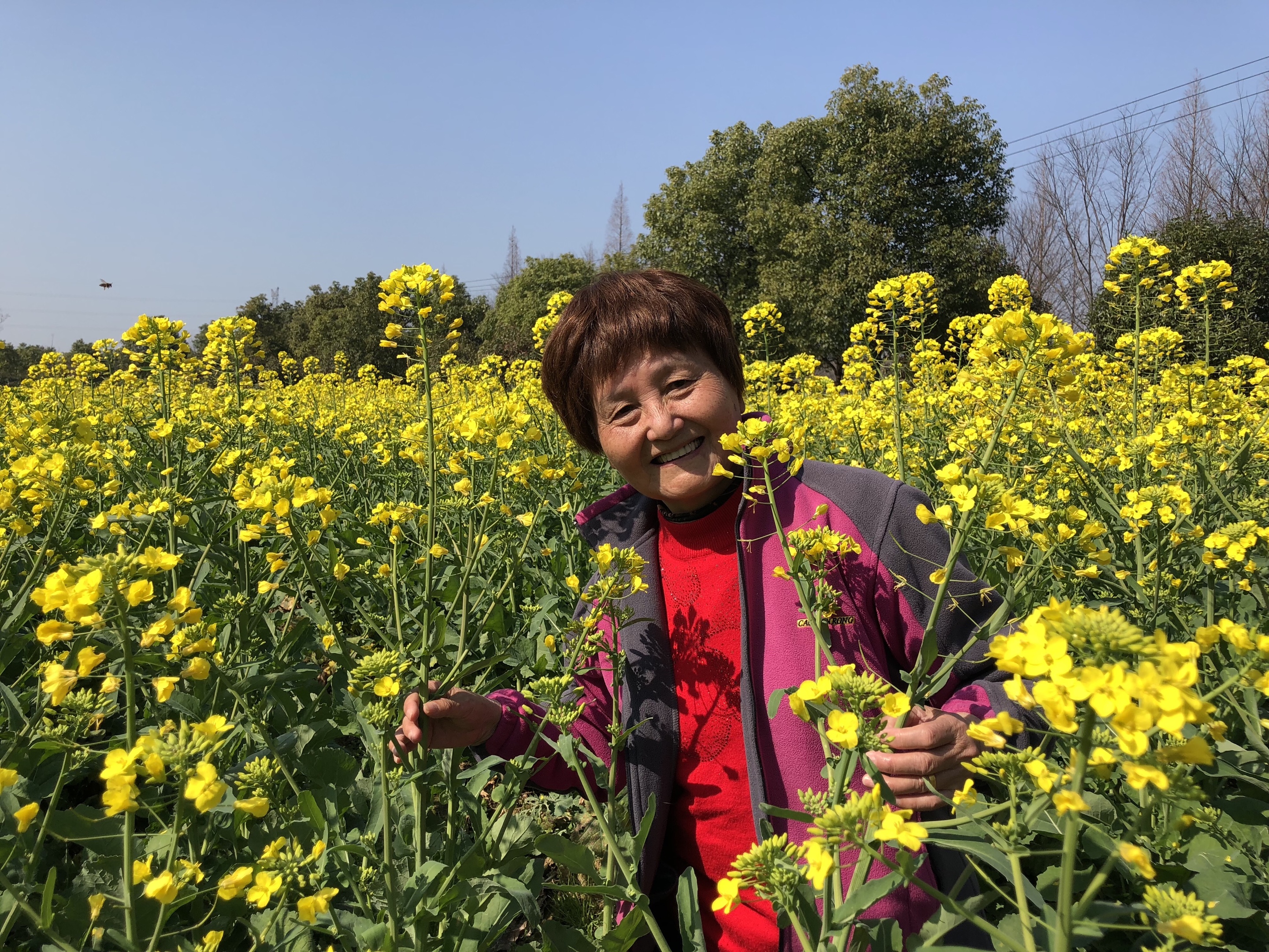 〈首发〉走进台回山…正当油菜花盛开时