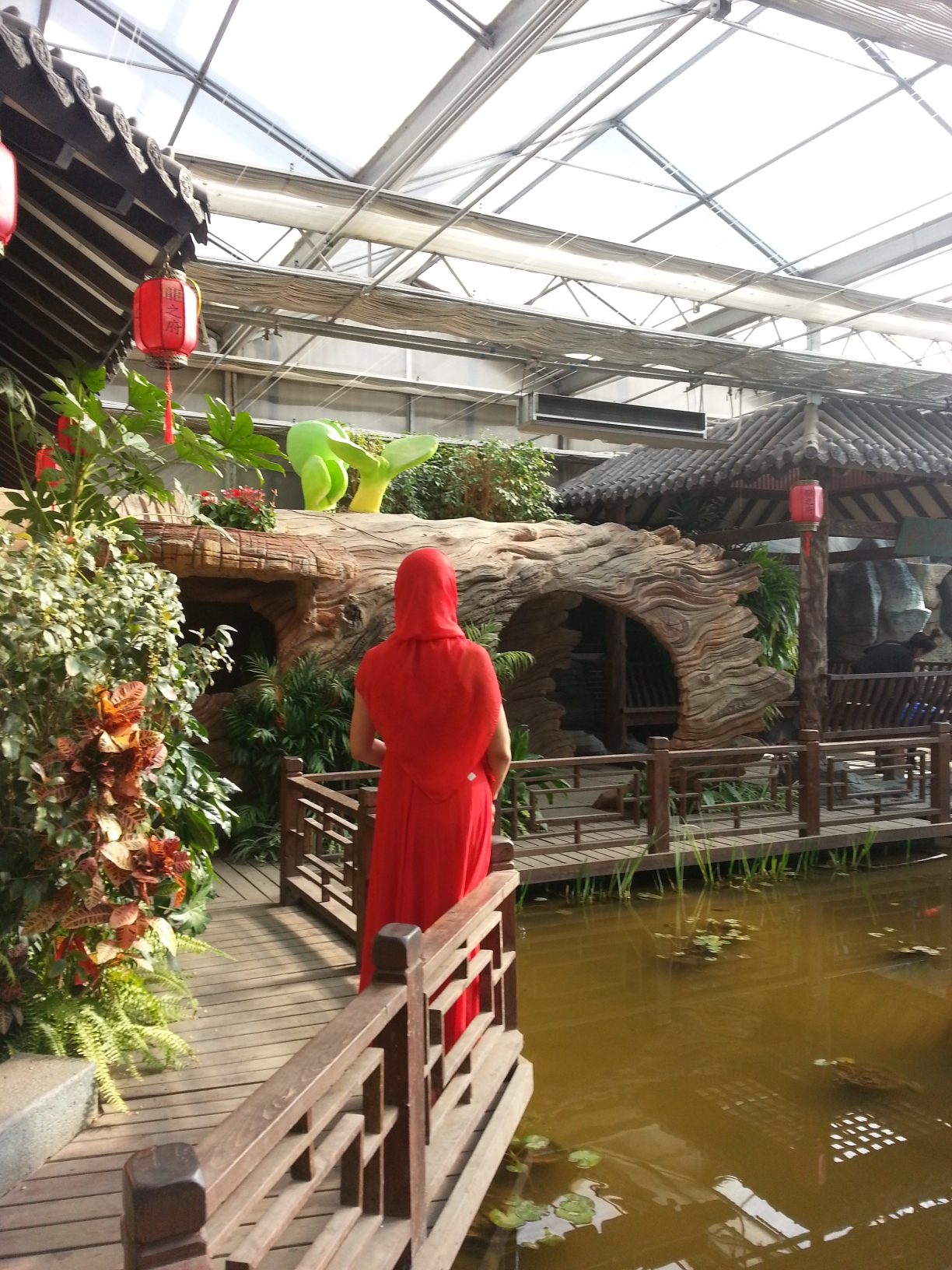 漫游绥滨植物园