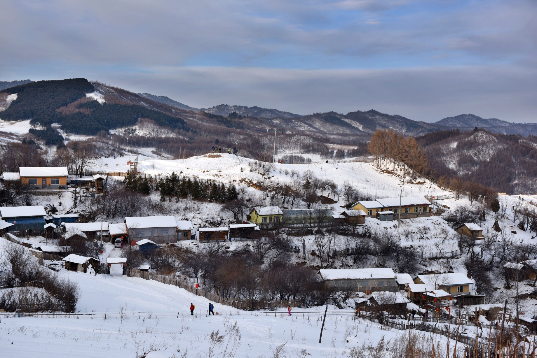 中國雪村潑墨松嶺