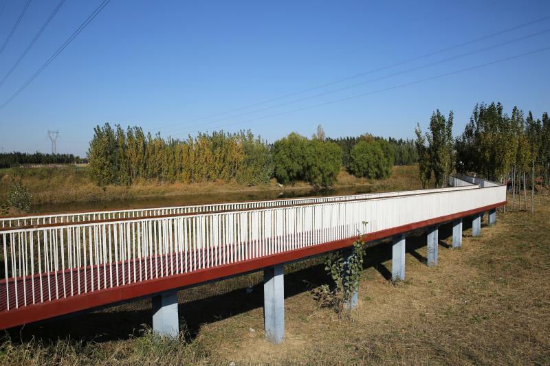 大运河景观带——泊头段