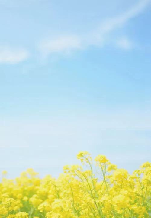 将花儿吹红, 让生命的情感得到激情燃烧, 心灵也在五月的风中变得纯净