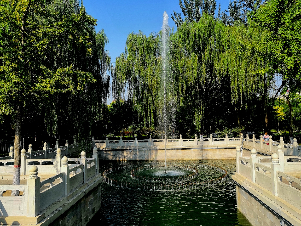 大美龙城《学府公园》