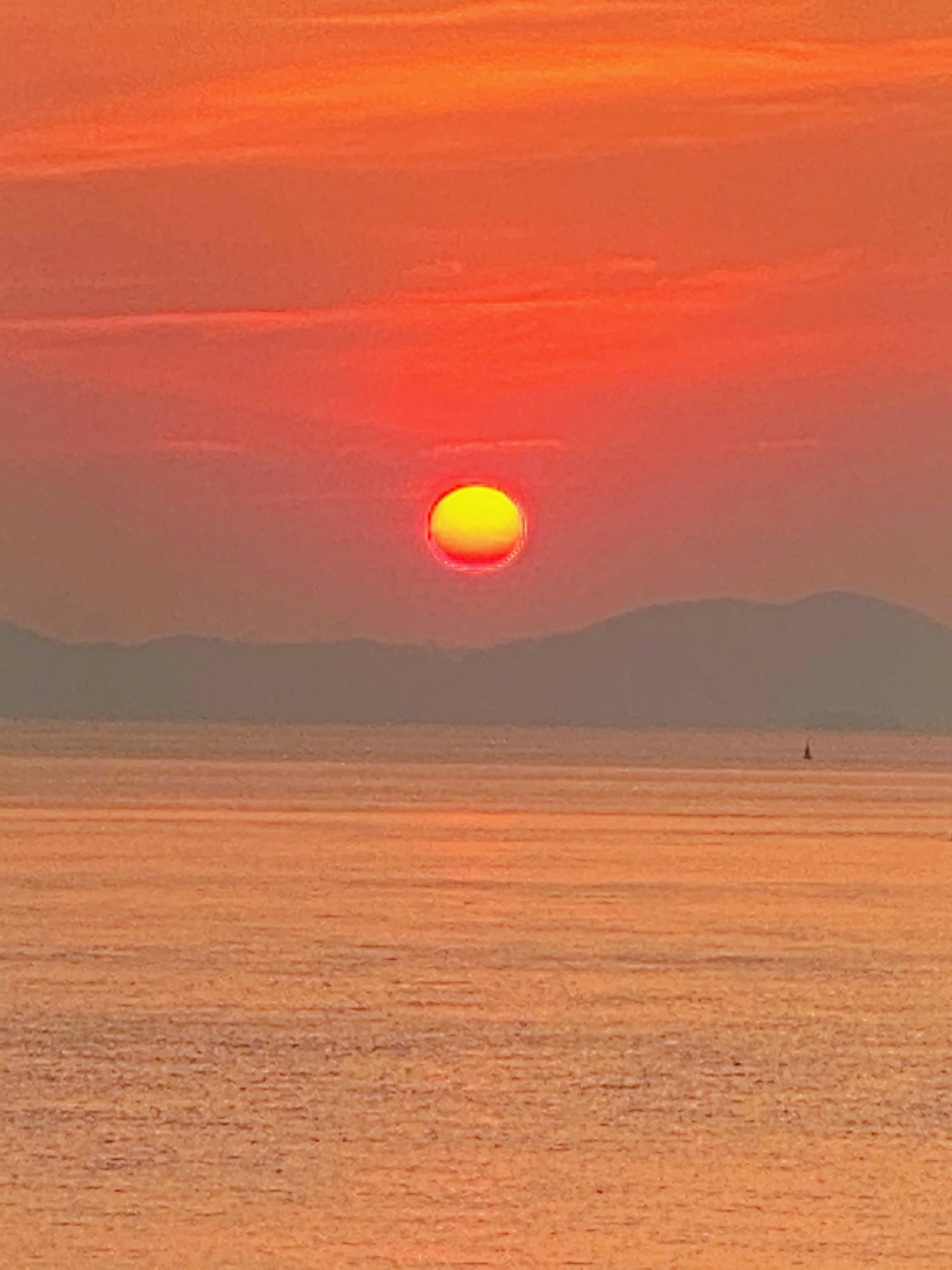 醉夕阳