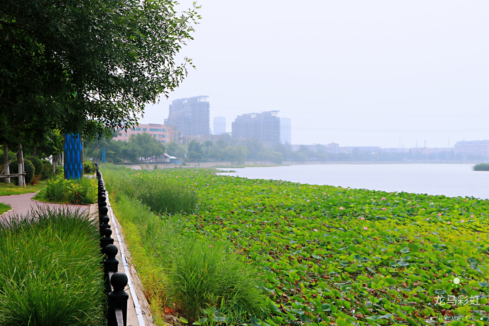 盤錦湖濱公園