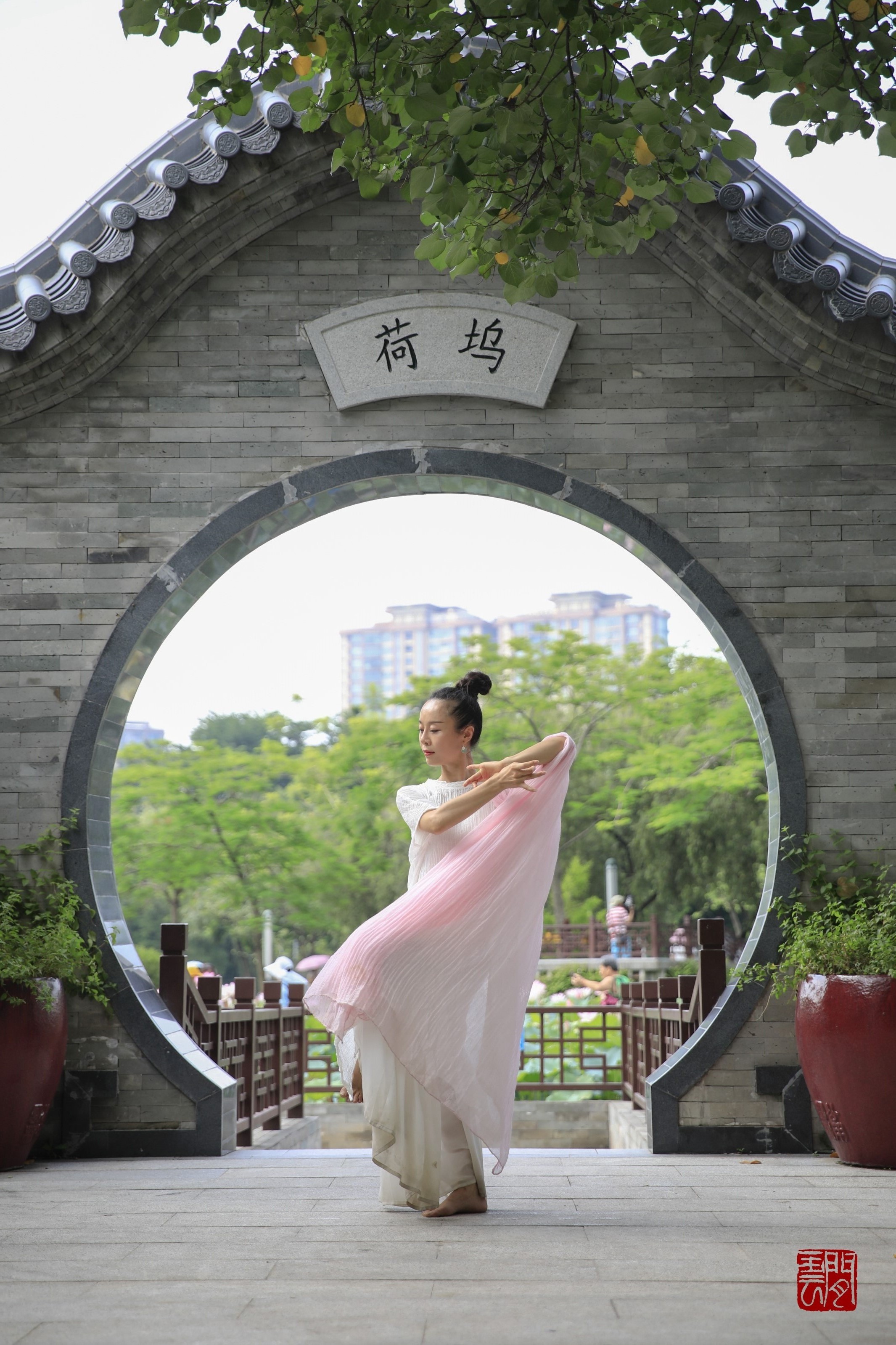 荷韵禅舞(禅城拍荷活动作品集)