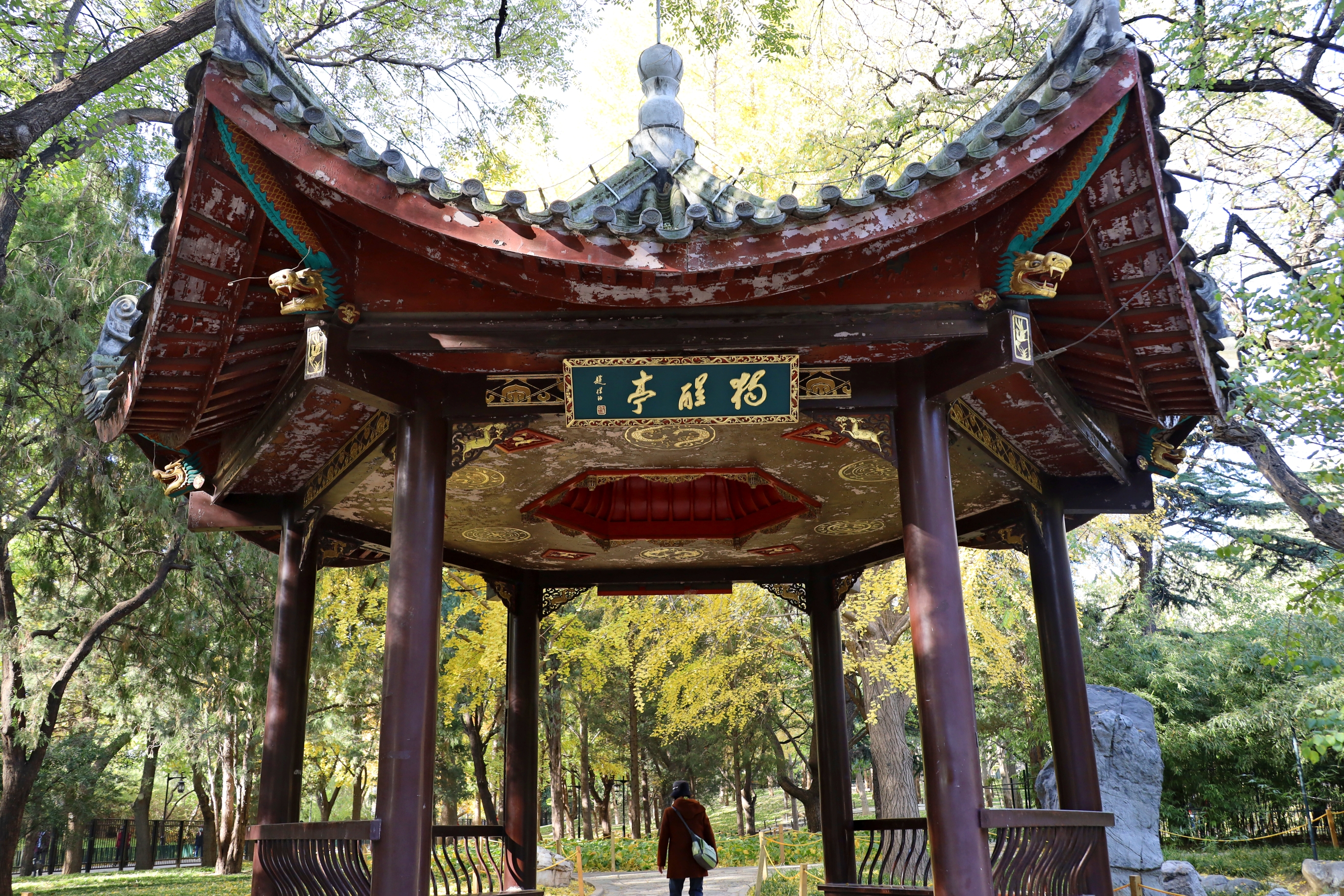 陶然亭公园里的华夏名亭园