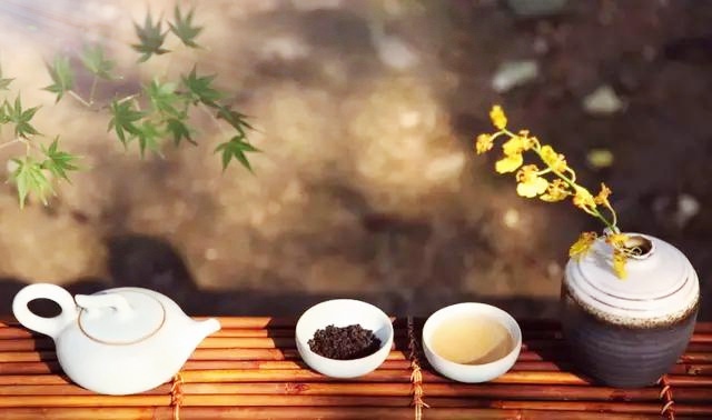 首發滿庭芳61茶語