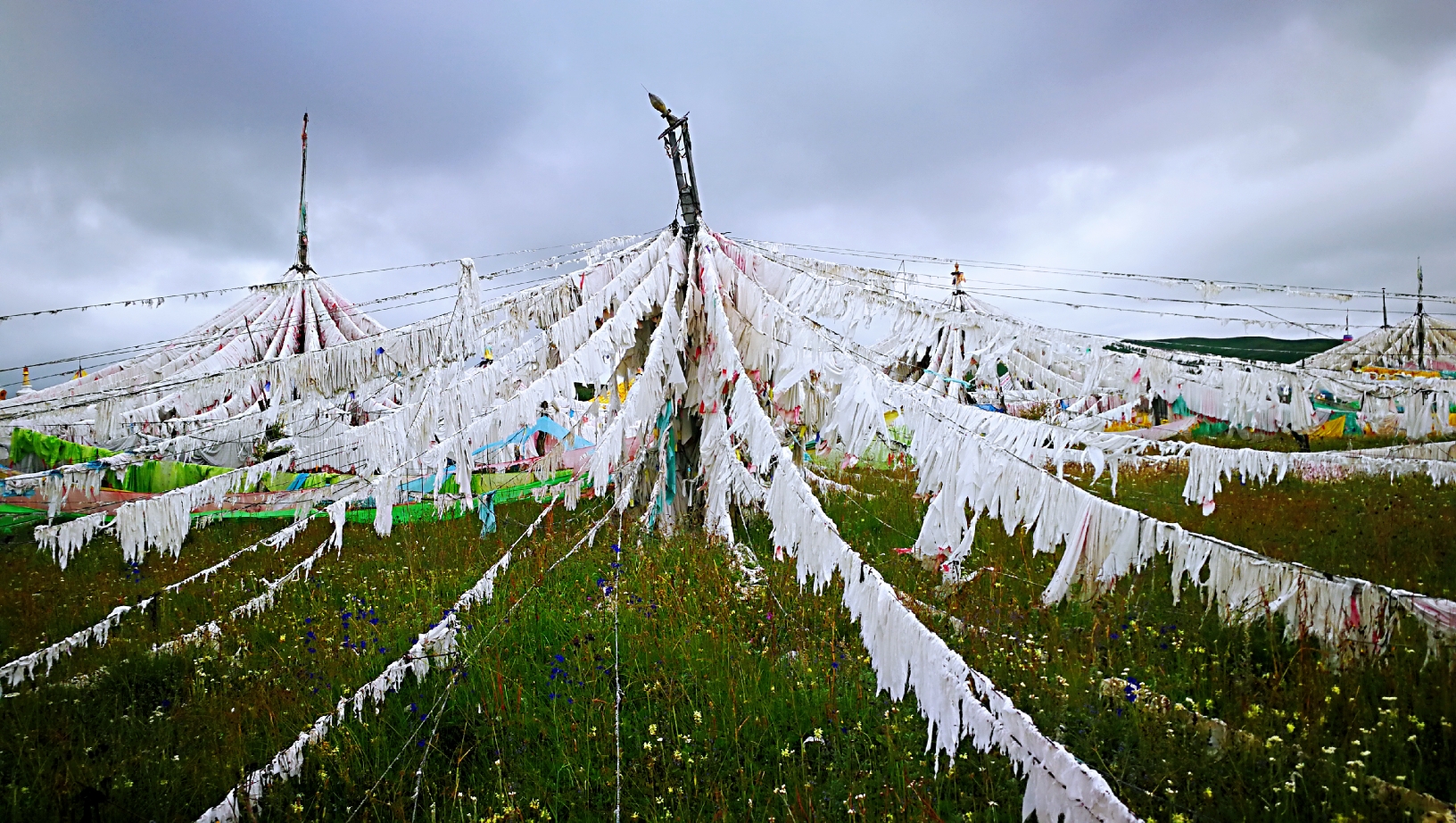 玉白的账房之上向晚时分升腾起袅袅炊烟 越是靠近若尔盖 越是经幡如海