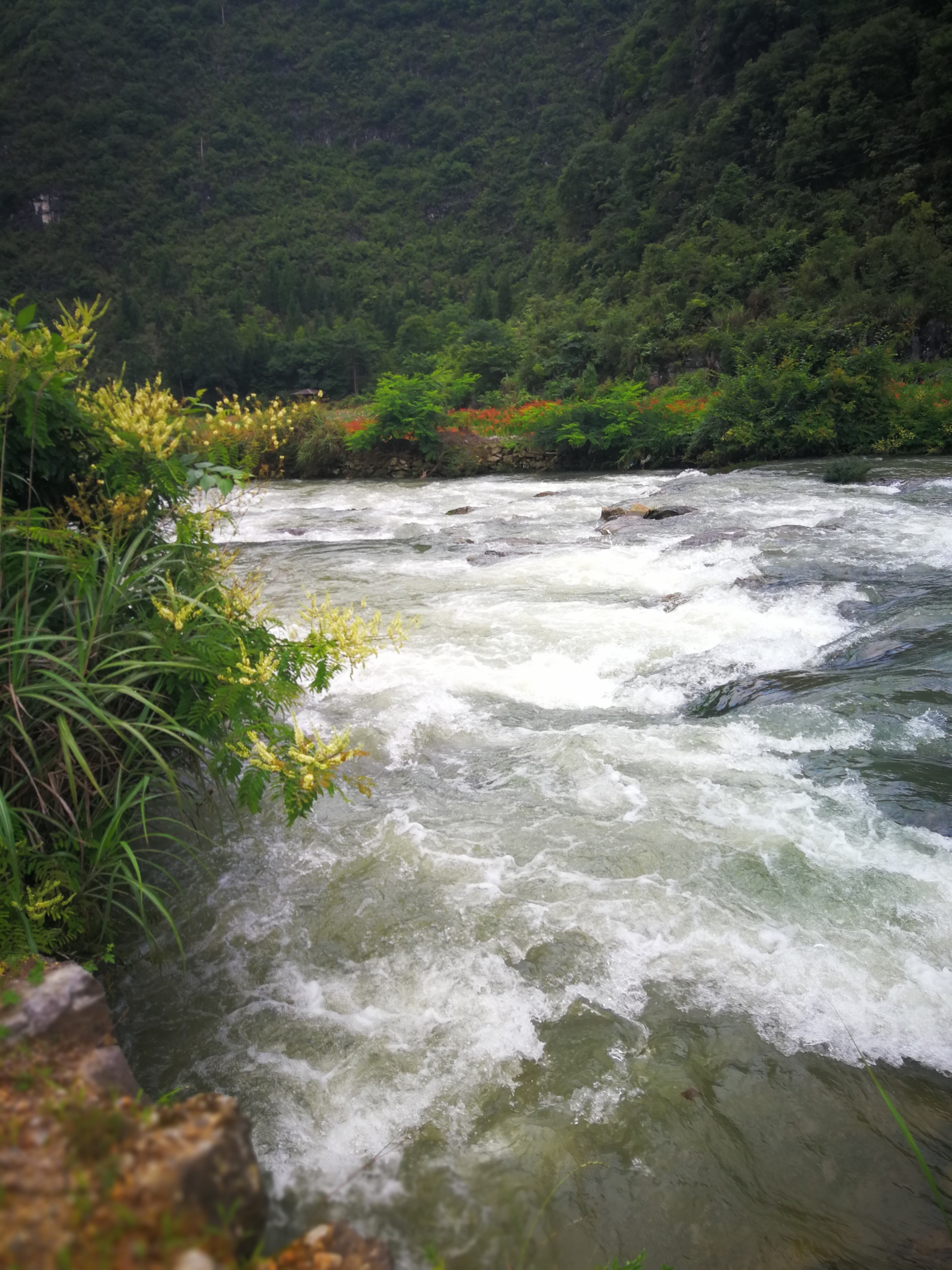 小河淌水照片图片