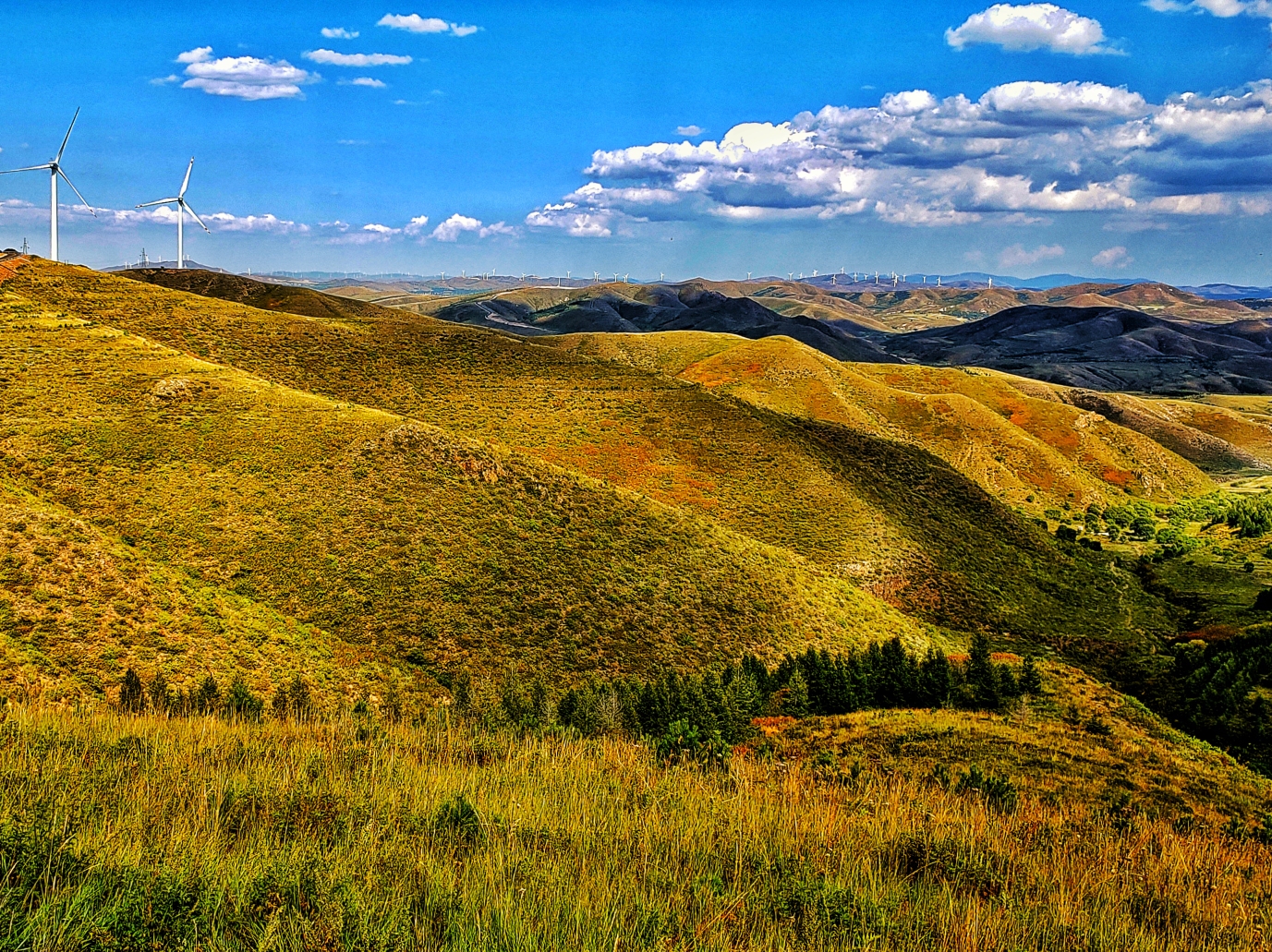 一说到坝上草原,好多人都会想到围场,丰宁,张北,其实沽源