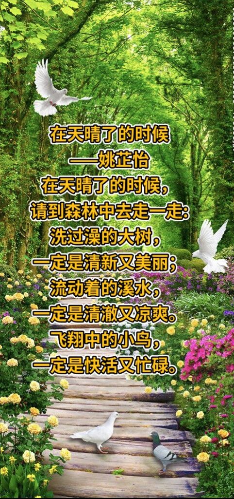 《繁星·浪花》中泰中心小学405班短诗集(二)――诗歌,让我们用明亮的