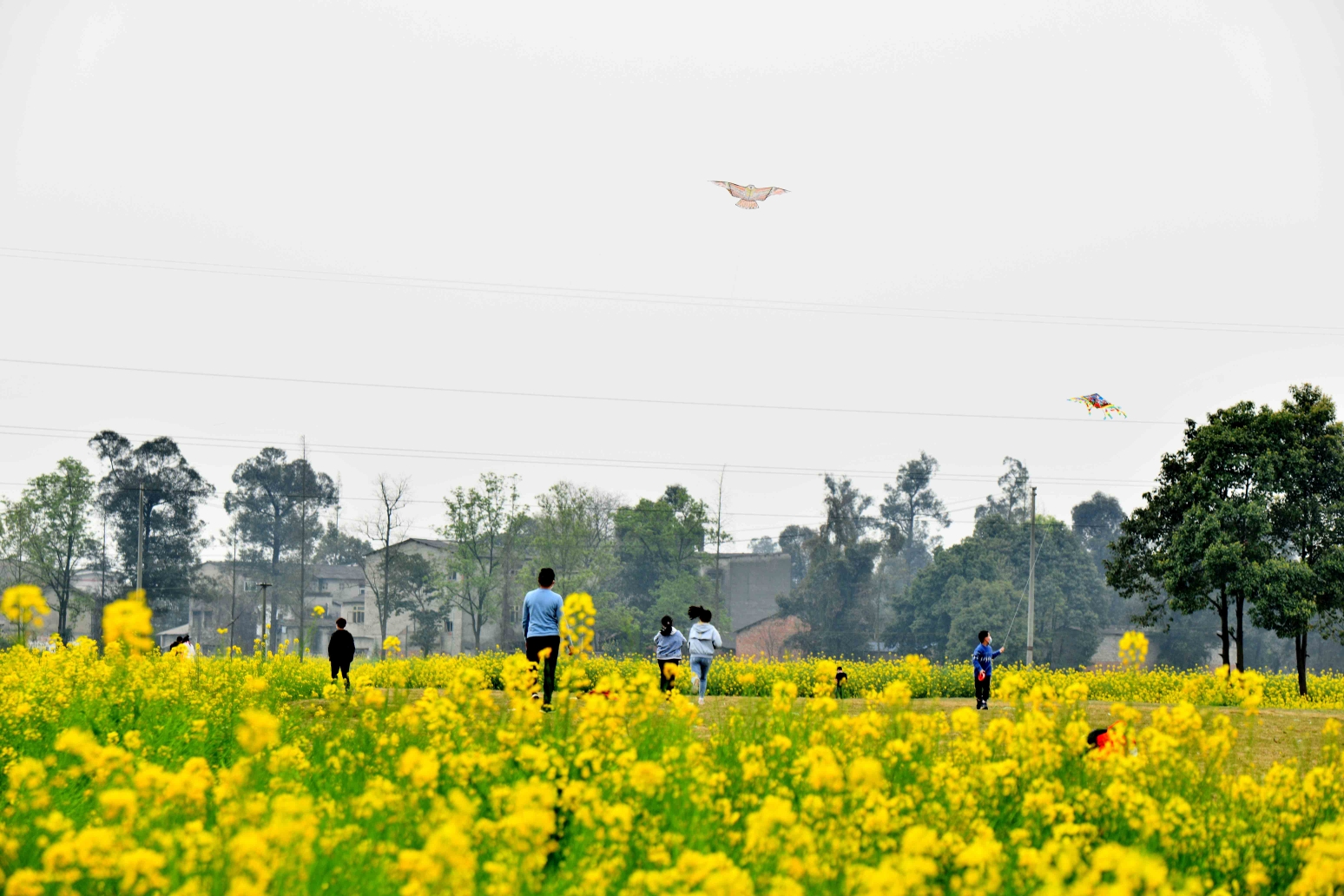 春游一踏青路上