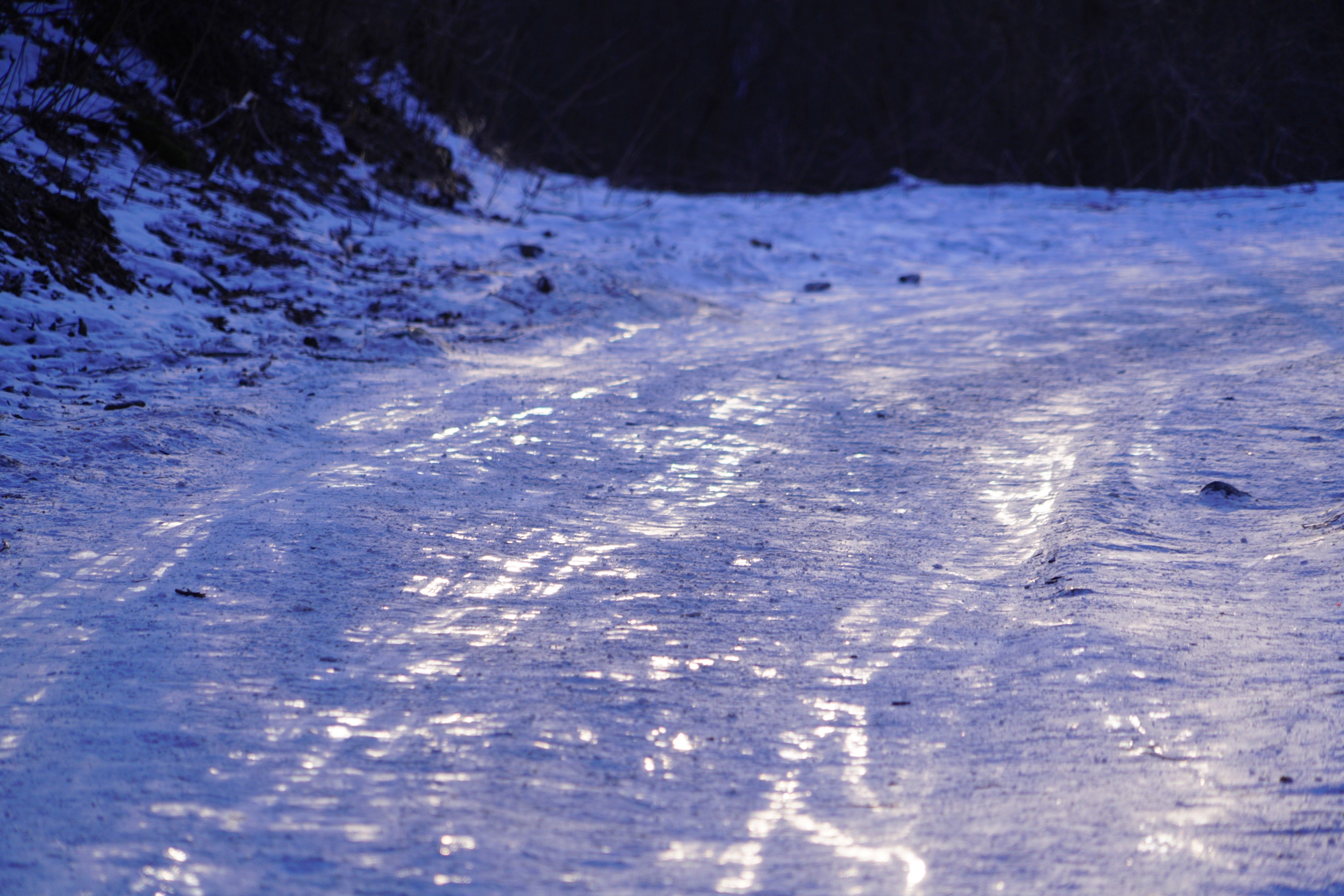 晨光透过枝丫,投在结冰的地面,折射出耀眼的光芒.