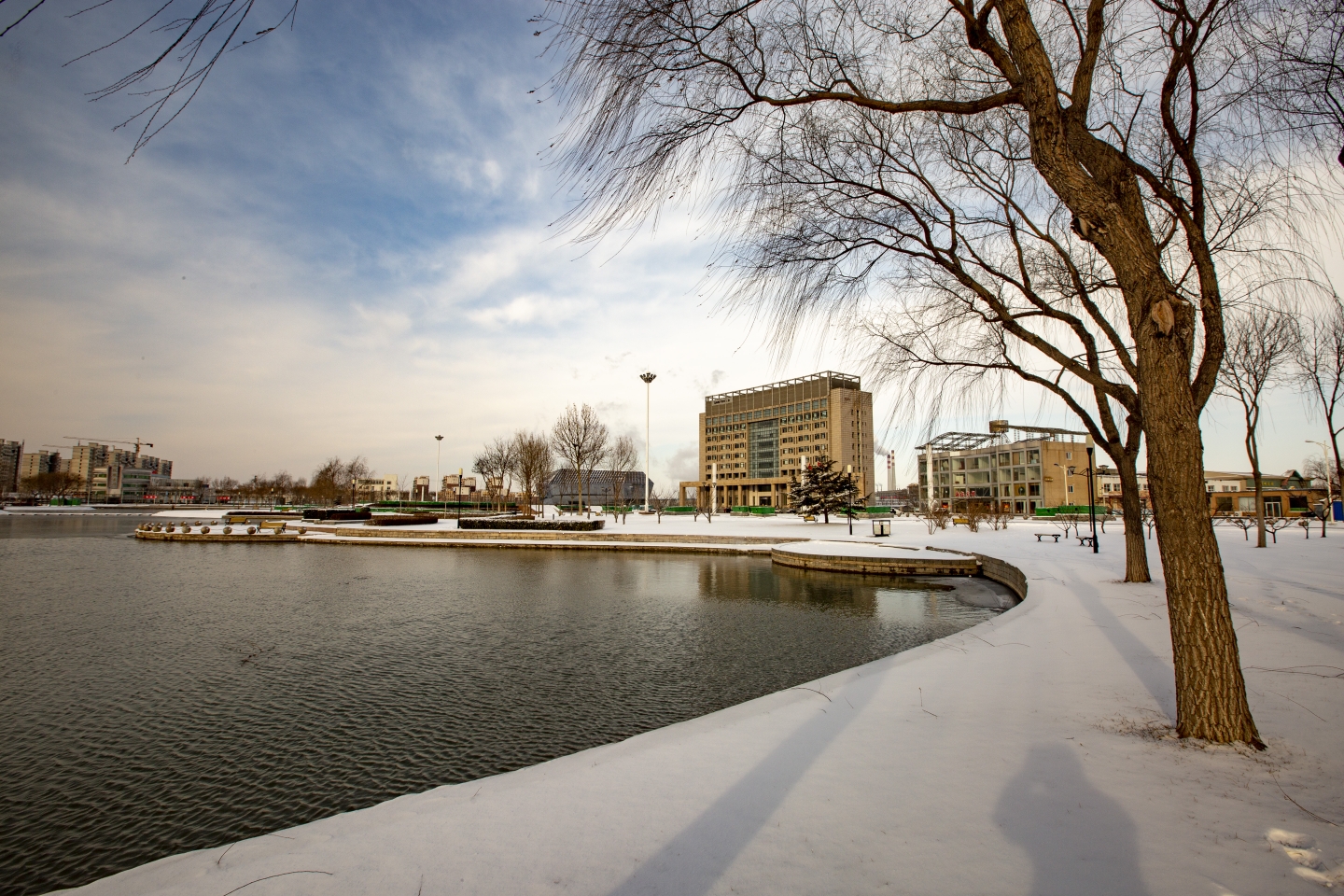 《雪后的南堡》三友广场雪后记录 2020.2.15拍摄