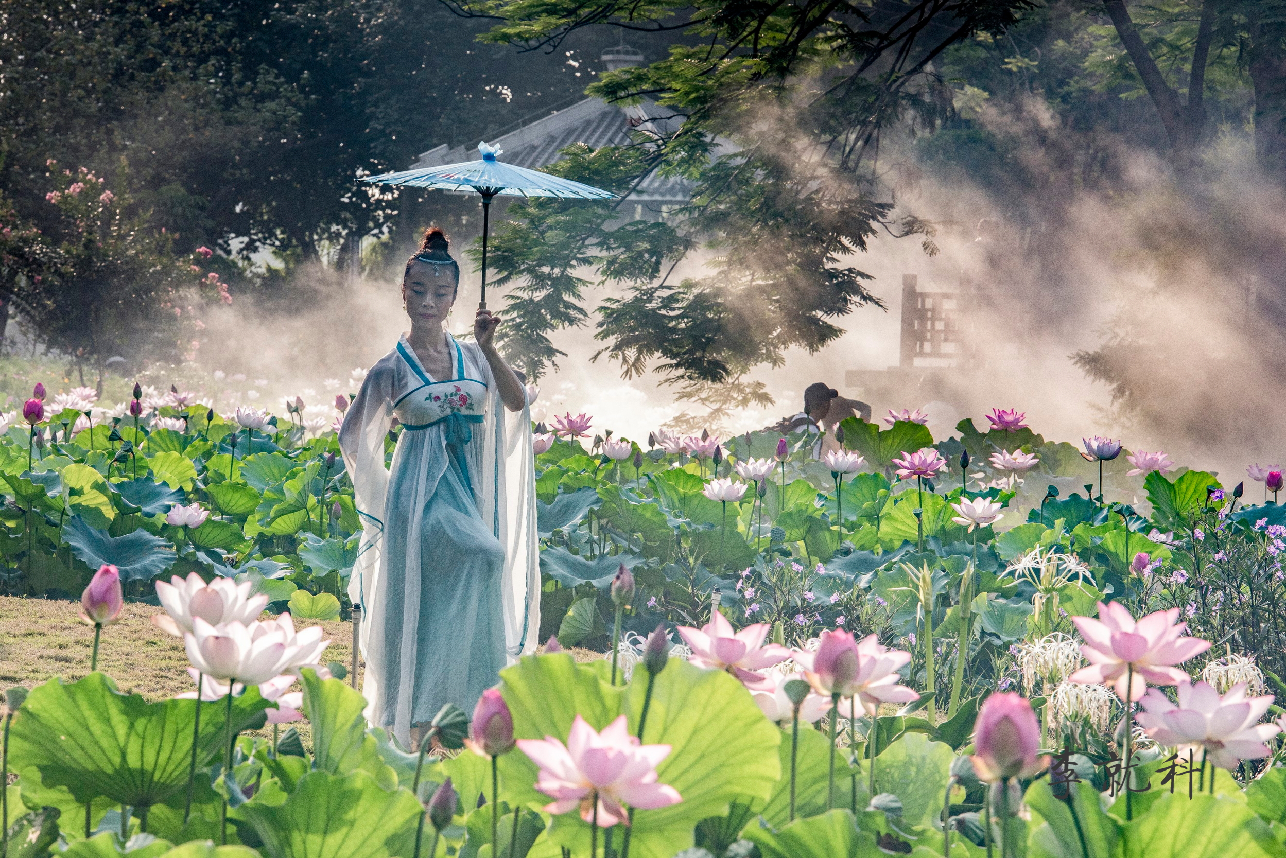 荷韵禅舞(禅城拍荷活动作品集)