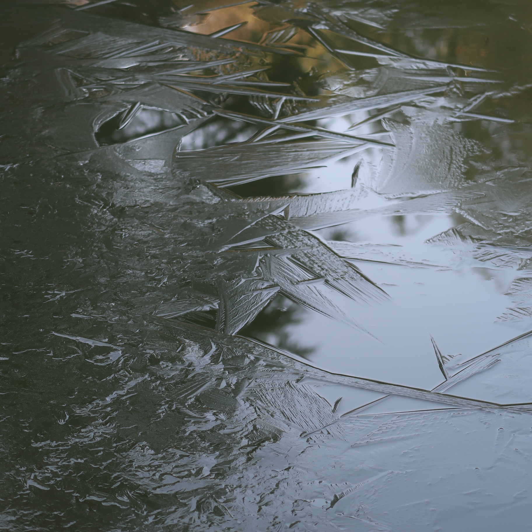 冰冻的湖面首发