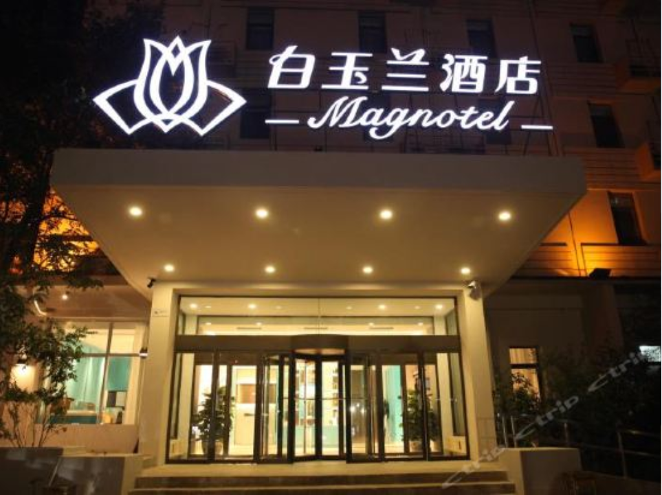 玉兰陪您过圣诞