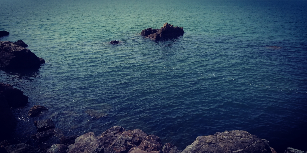 交流岛海参养殖海域