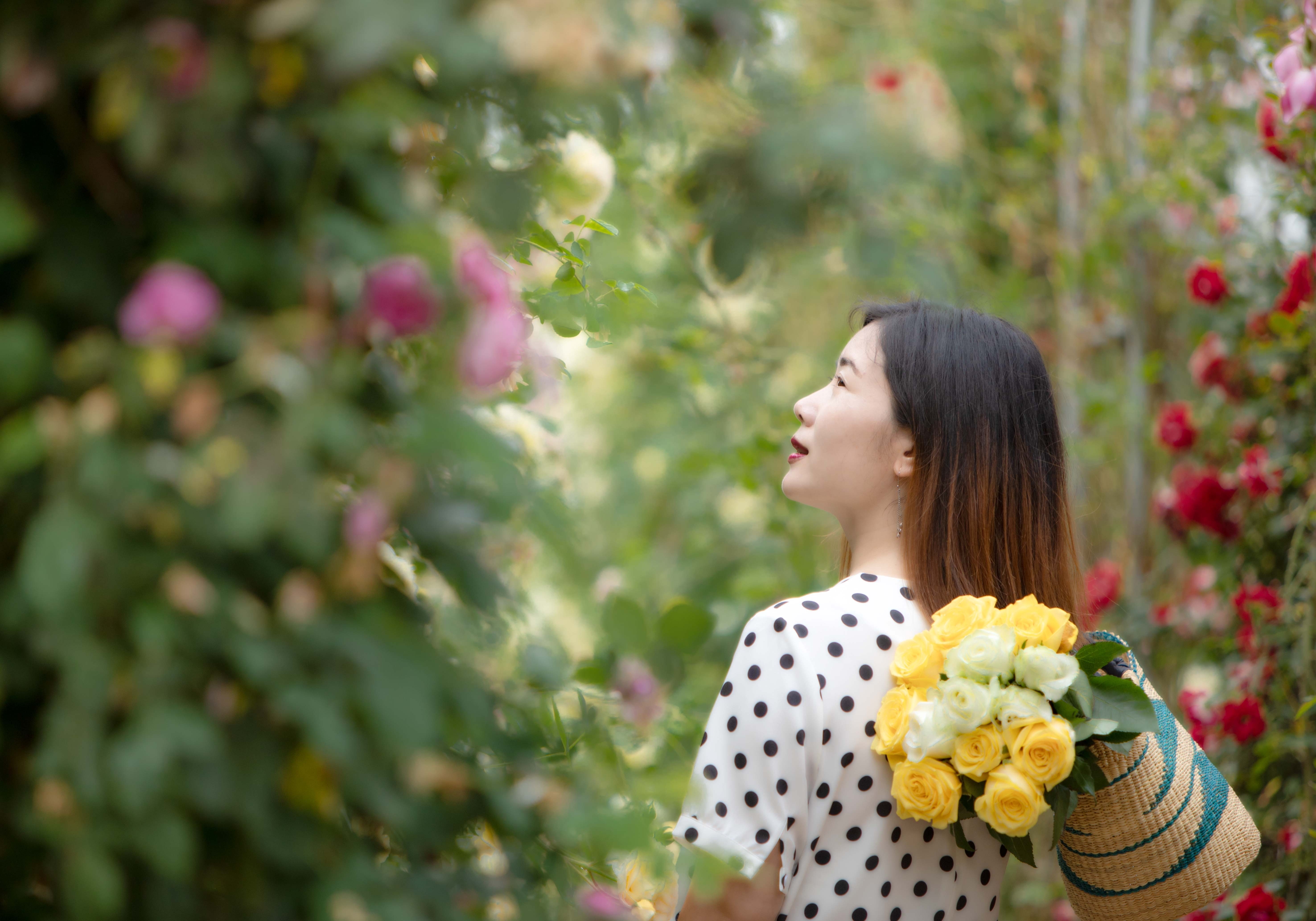 花开几许岁月安然