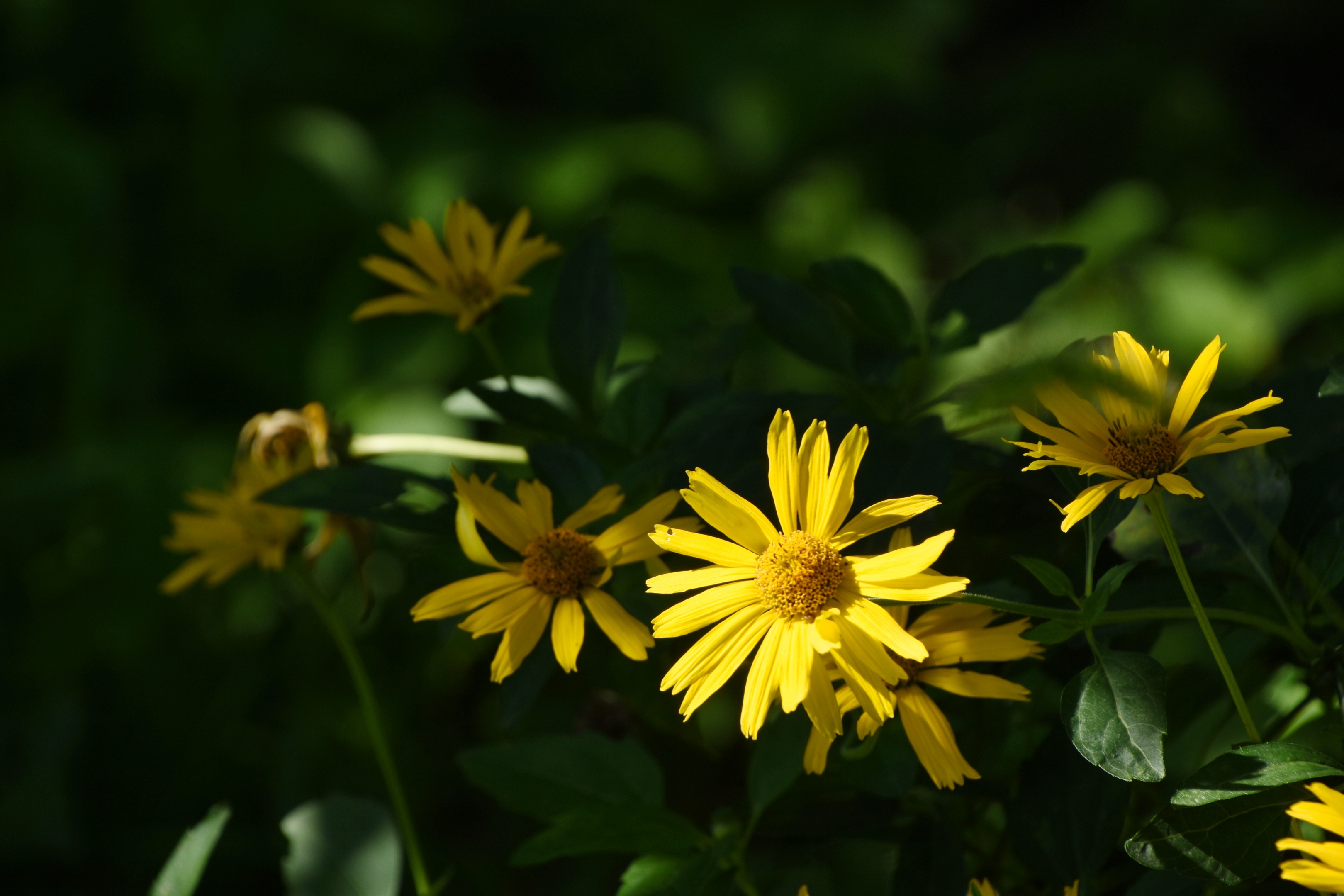 无需太多言语 只是这么 静静地看着 便有千般思绪涌上心头