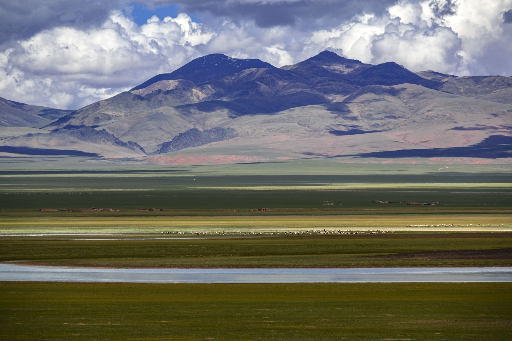 羌塘,可可西里印象
