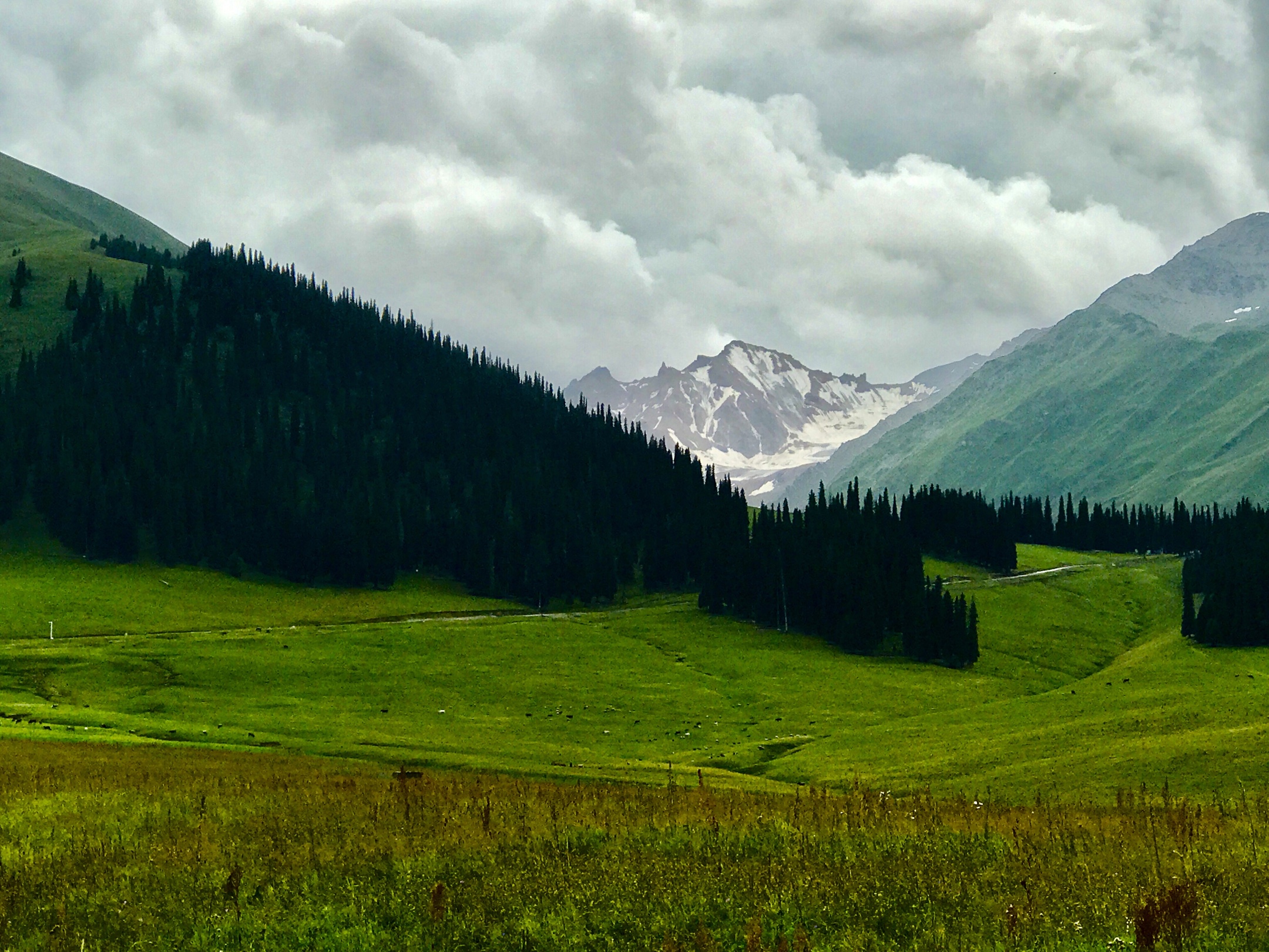 新疆伊犁那拉提空中草原.2019年手机随拍一一之21.