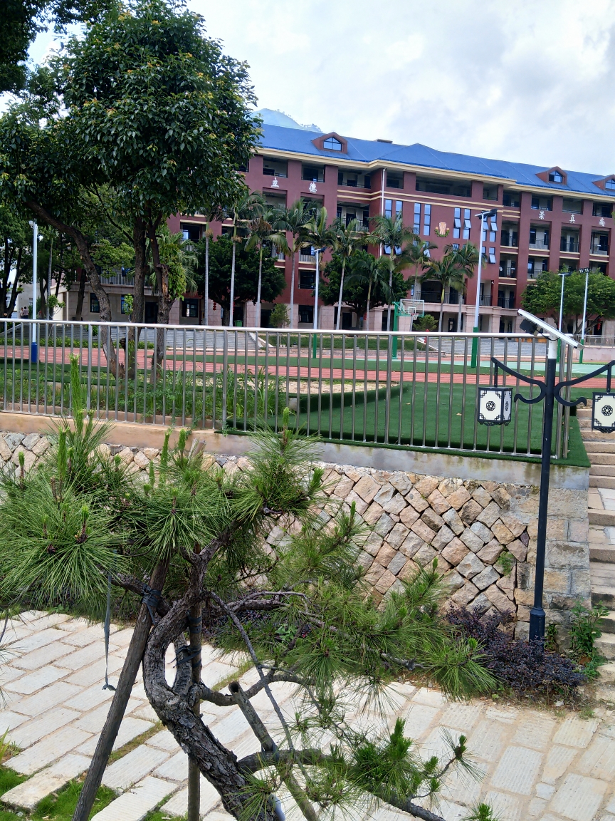 东张中心小学校园一隅