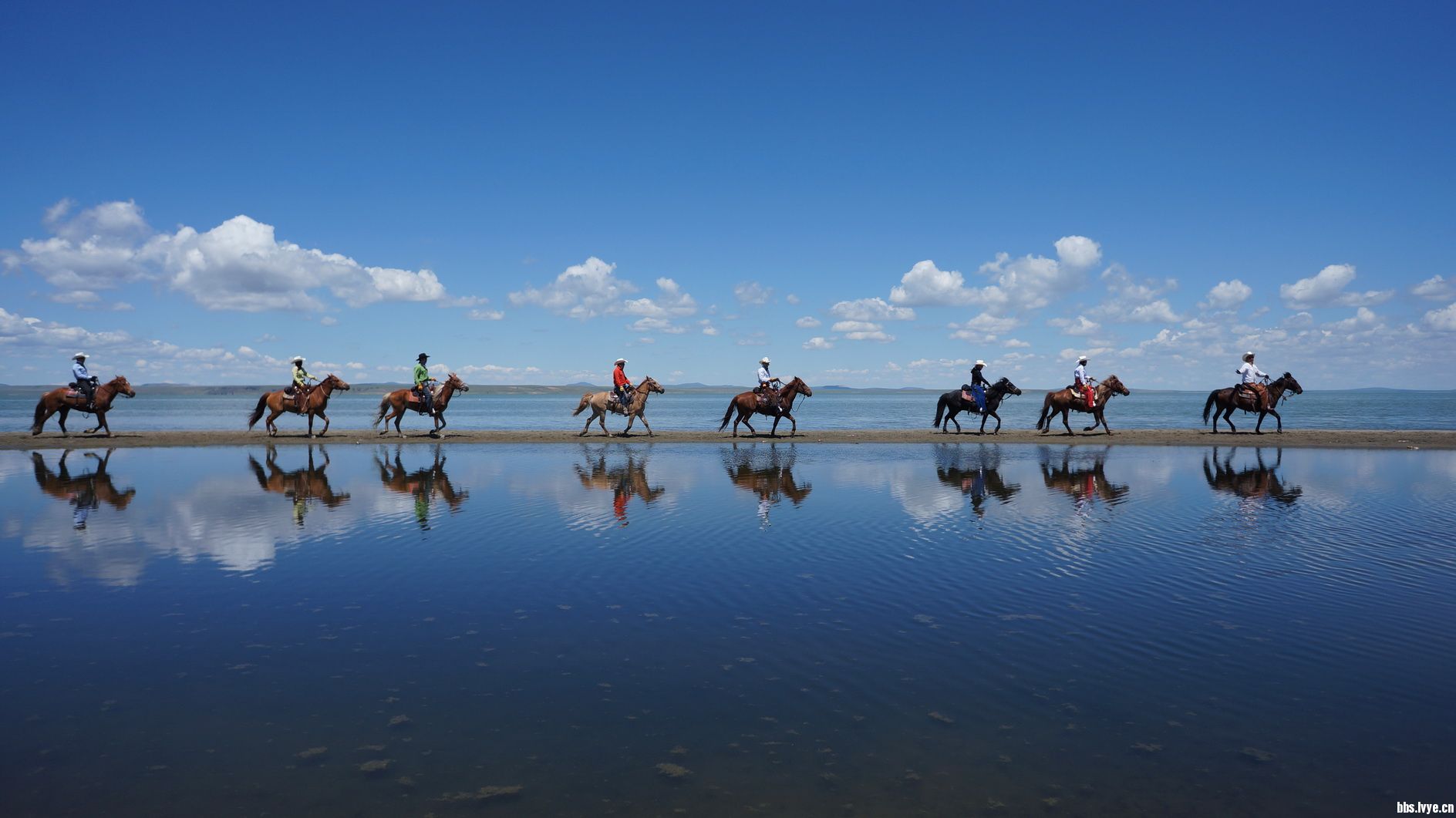 达里湖作者:碑林路人朗诵:情蕴馨香