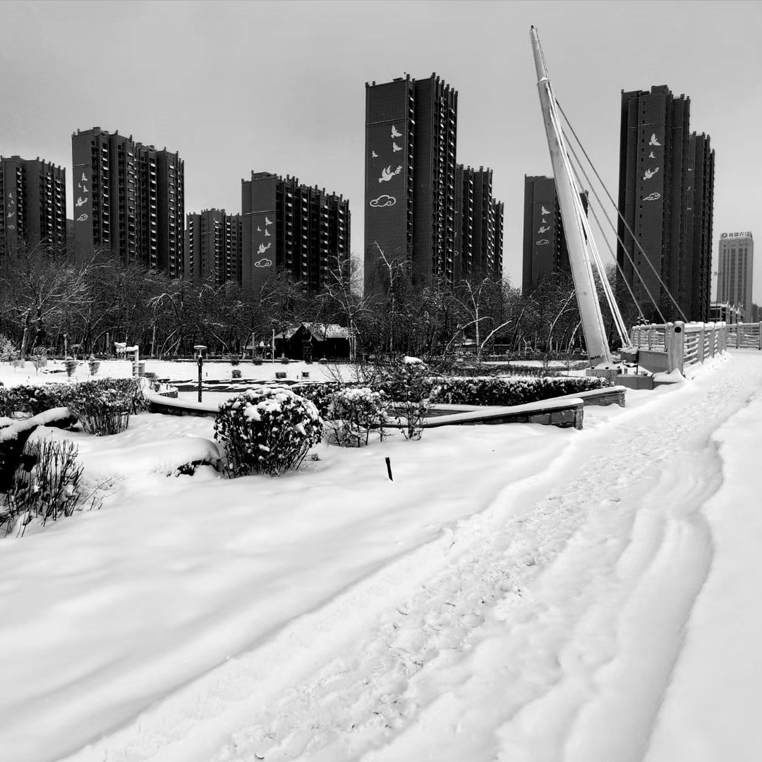 石河子景观河的冬季