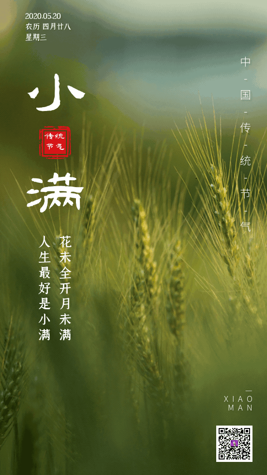 今日小满 幸福满满