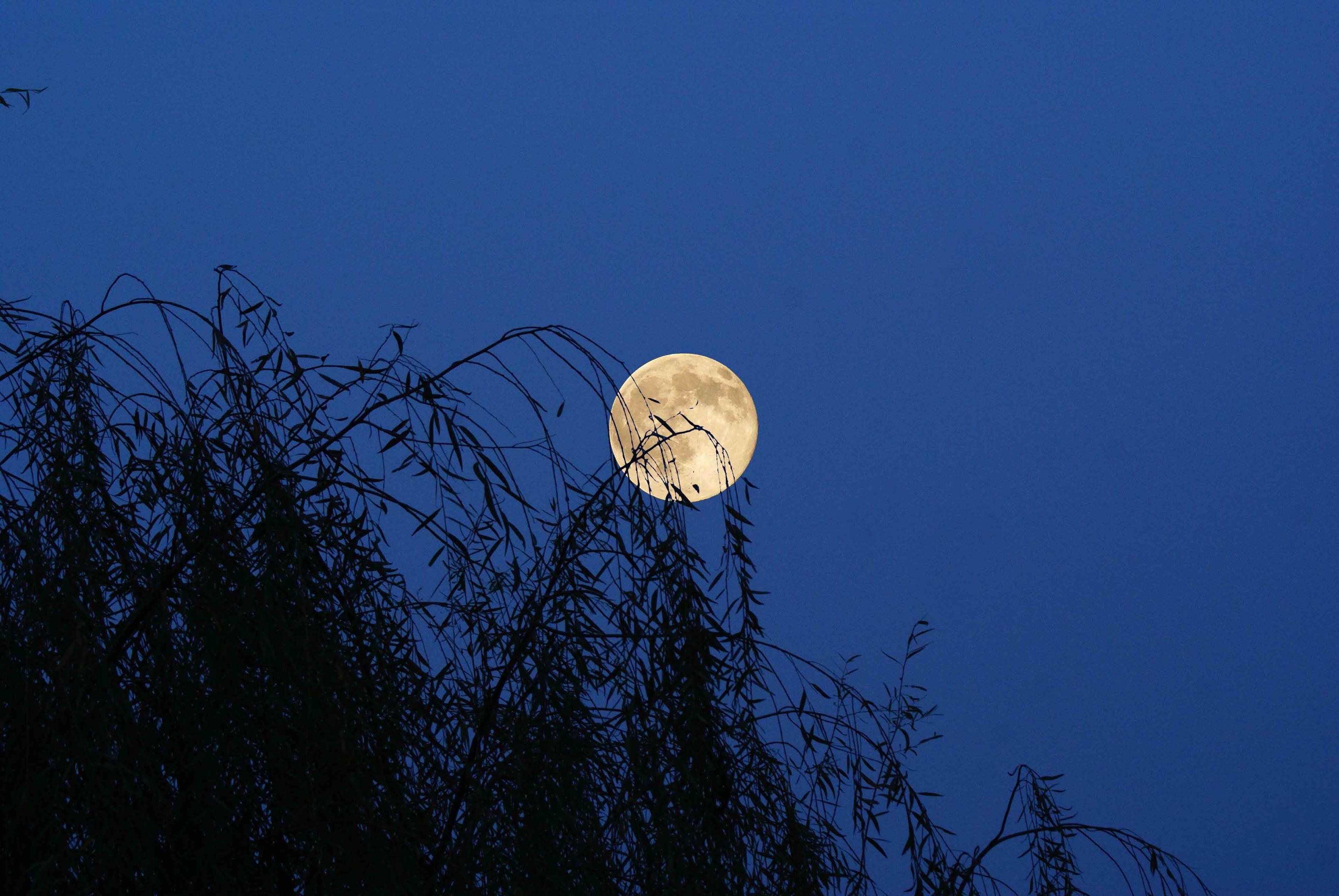 中秋思乡月七绝