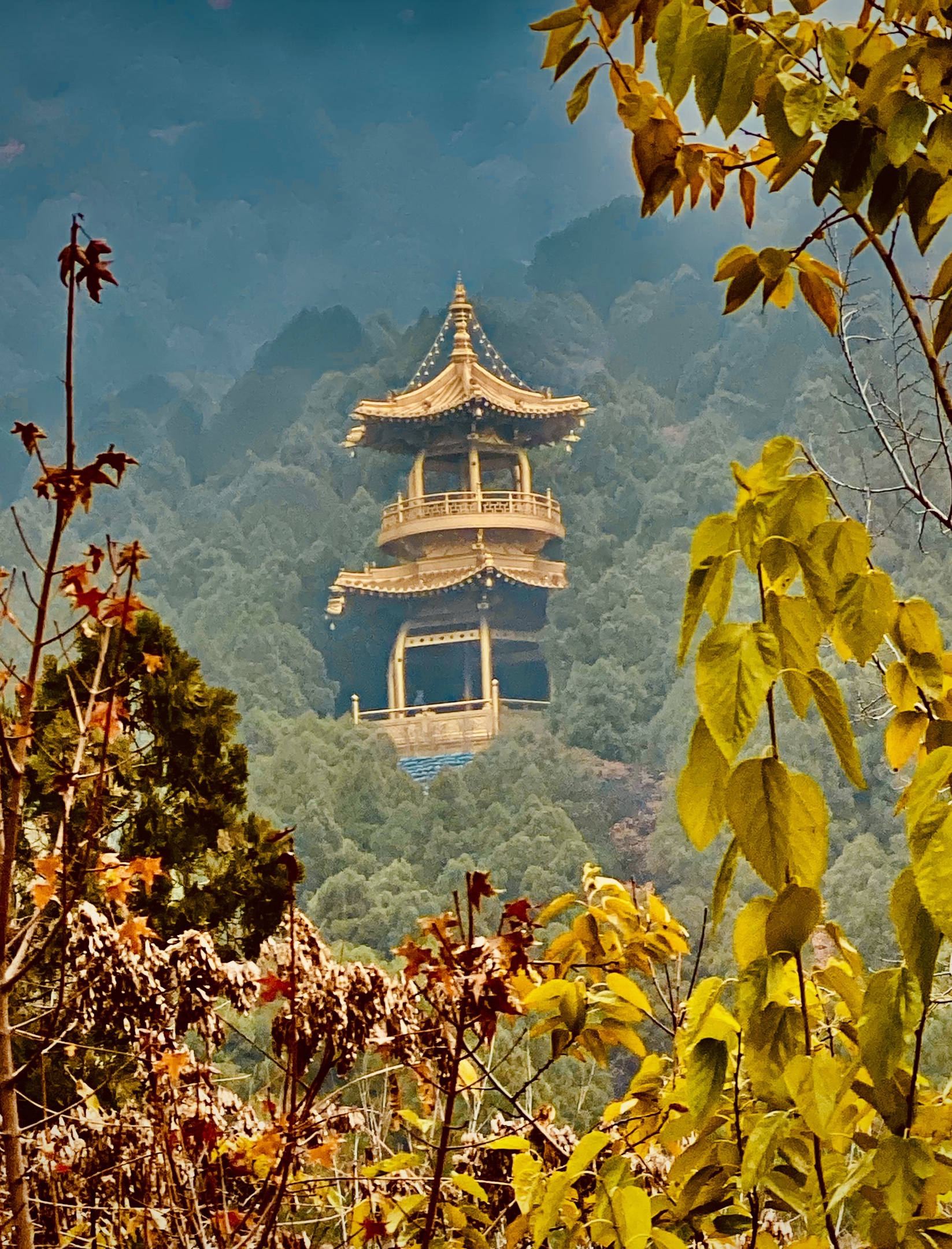 标题:晚秋              拍摄地点:太原太山 拍摄时间:2019.