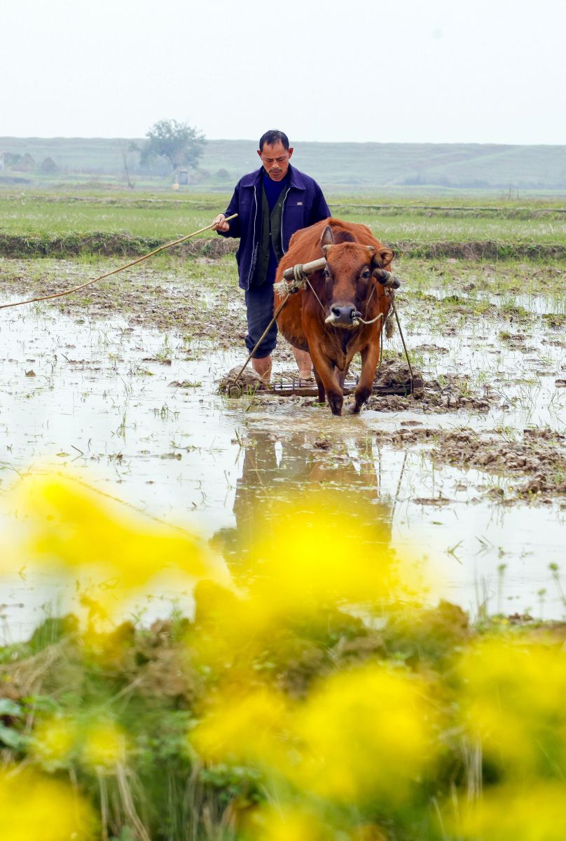 桃源耕夫【兰亭雅韵】:咏春诗词一组 - vv