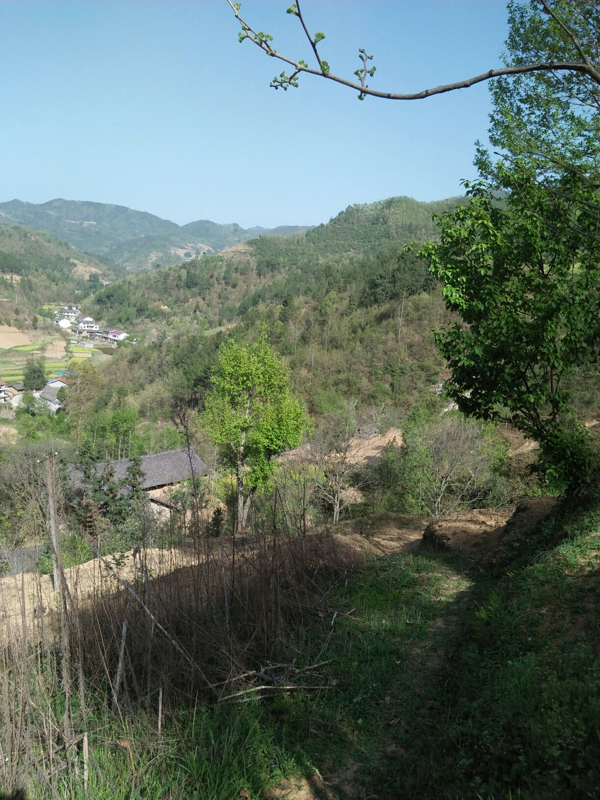 最美村庄,大长沟