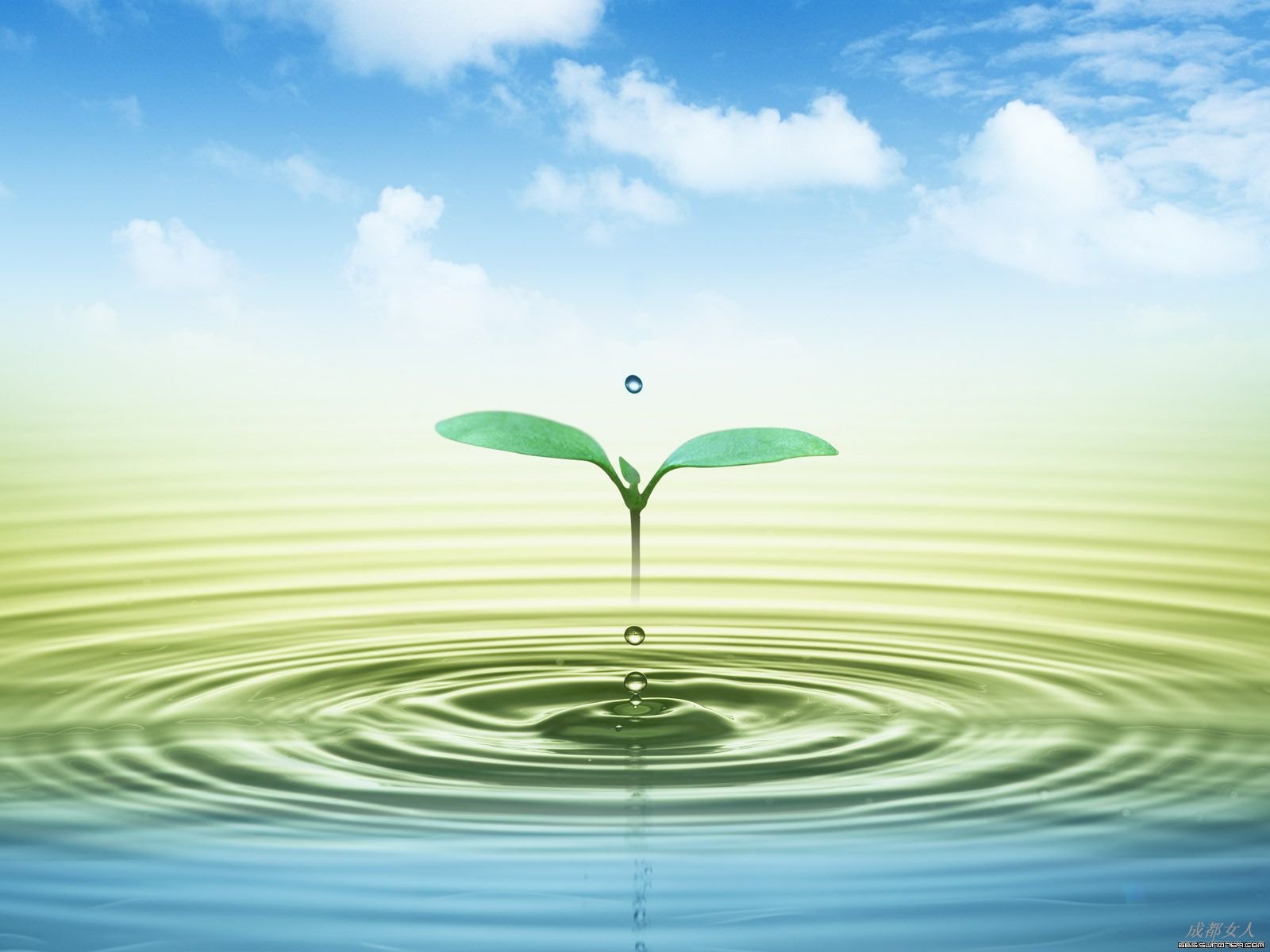 人生如水作者:正好诵读:老顽童