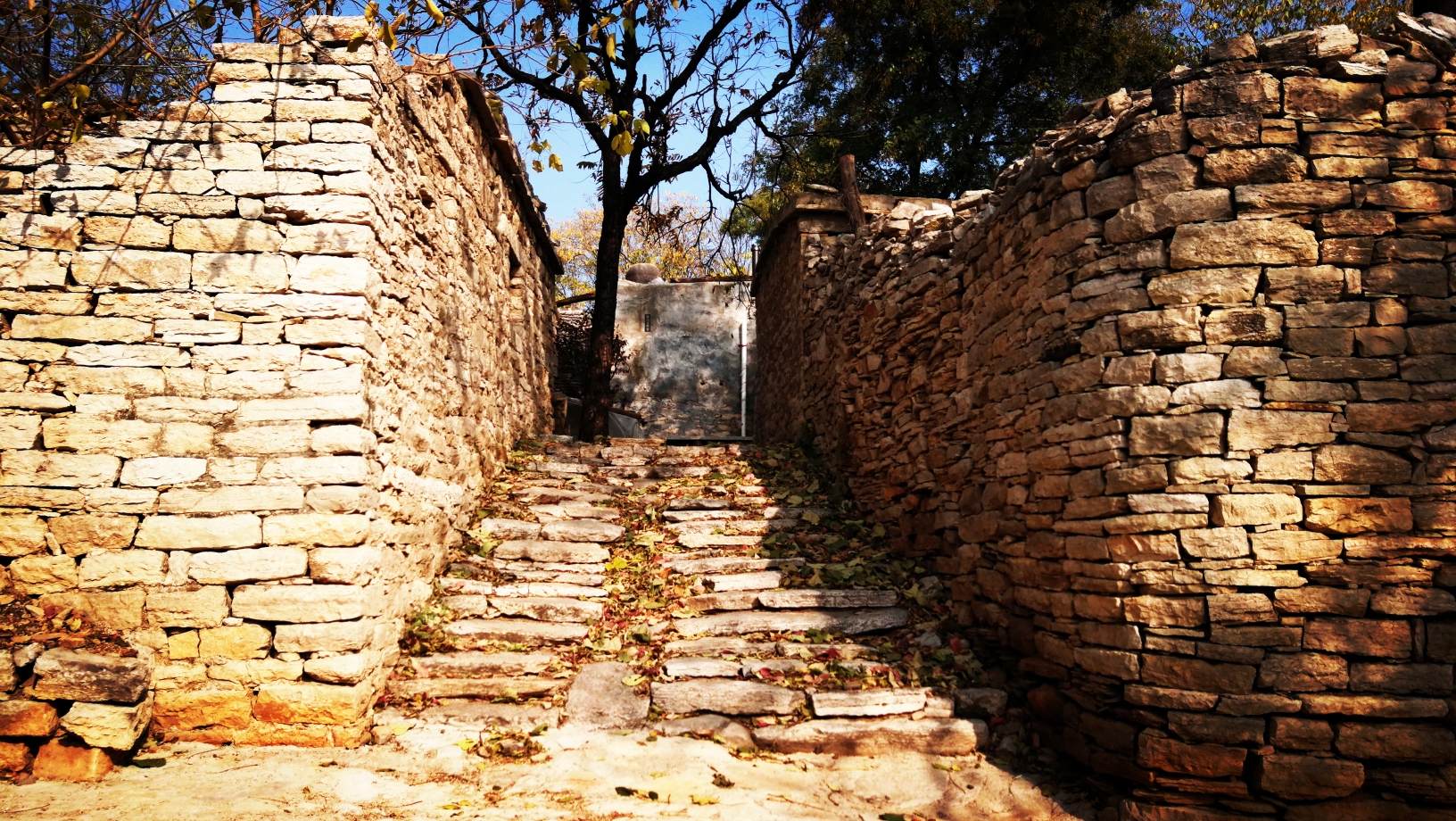 根据历资料记载,二奇楼村是红色革命根据地,泰安县委,肥城市委均曾在