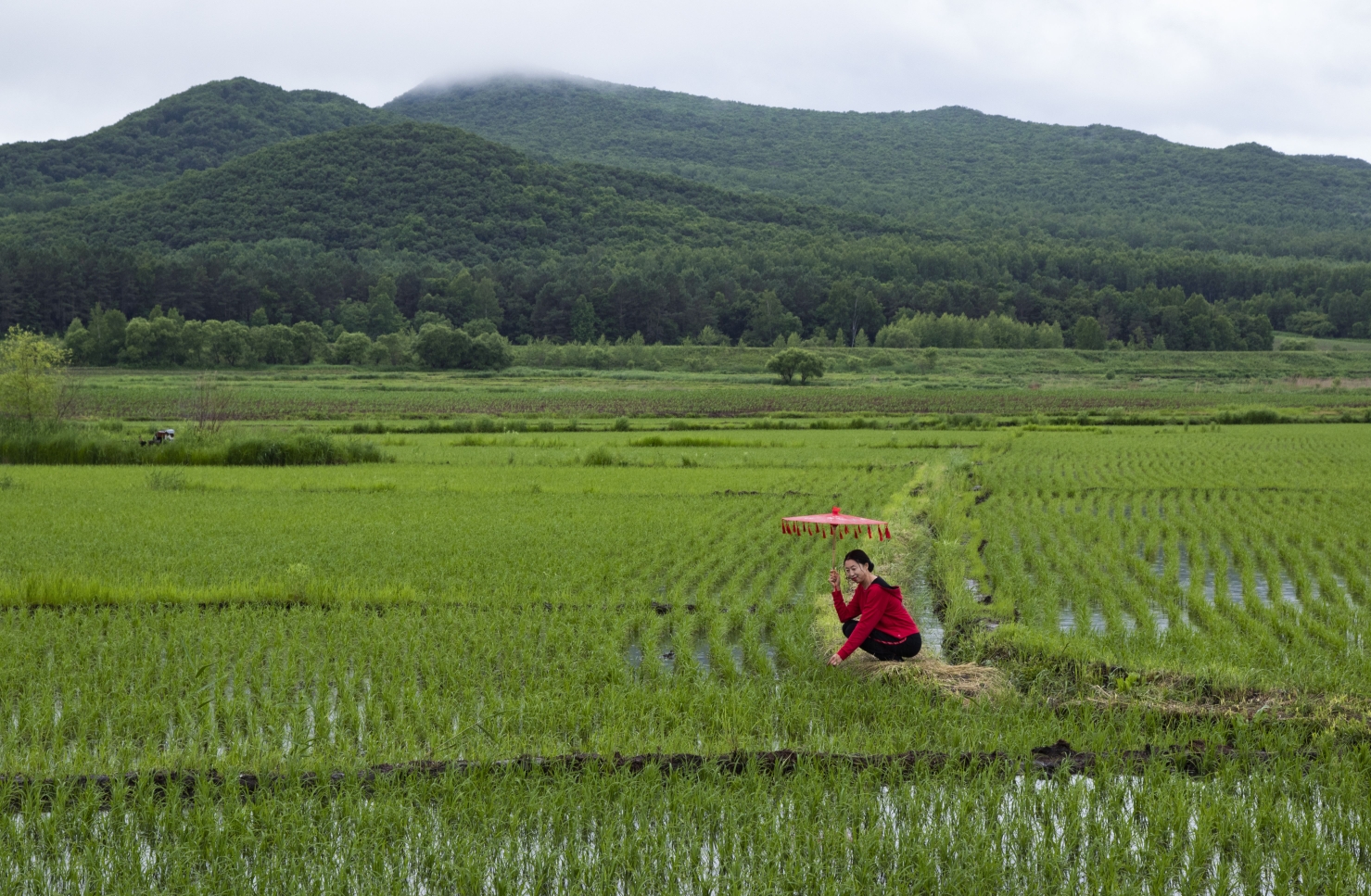 春光美【走进田间】
